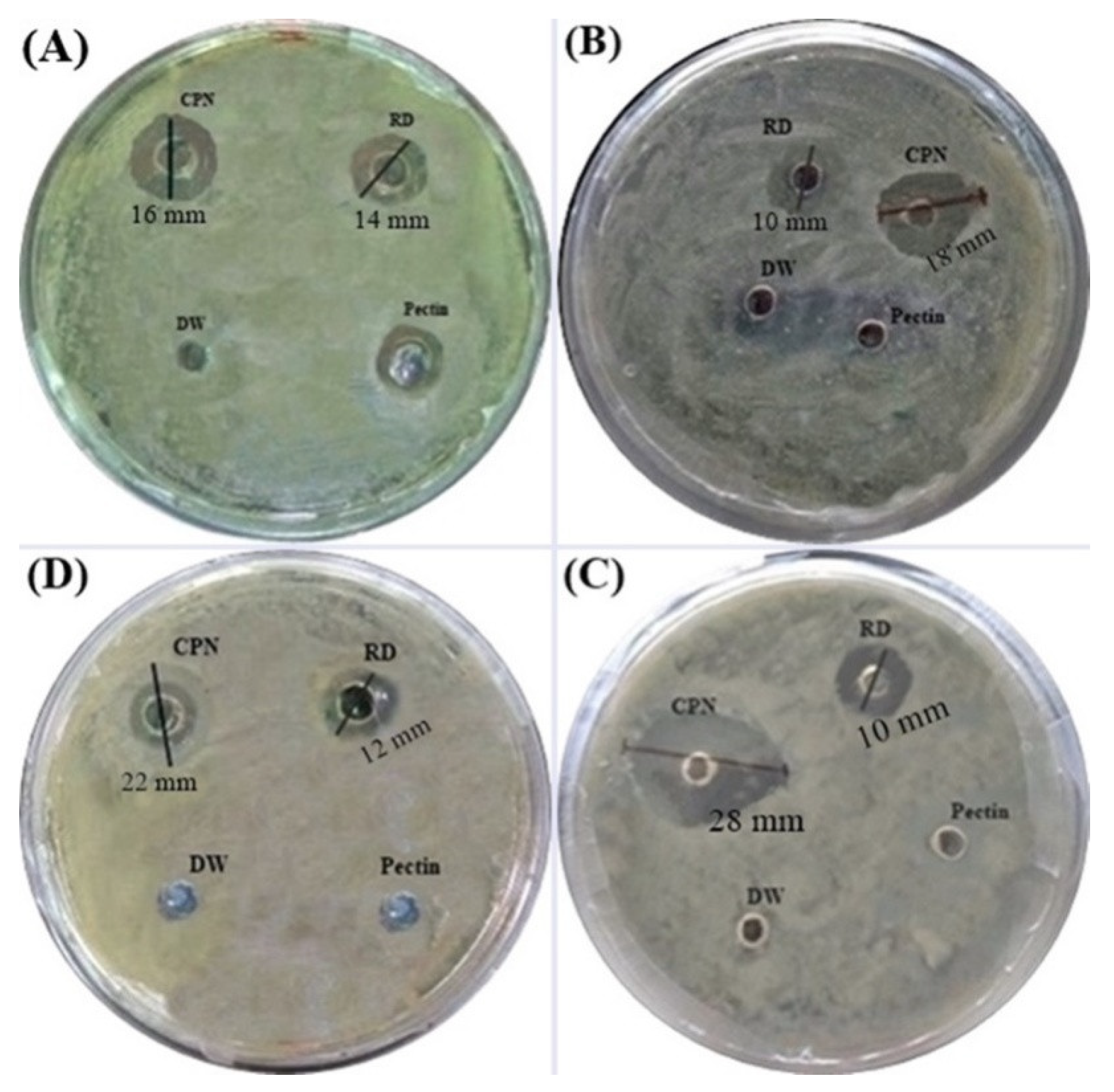 Nanomaterials 10 01452 g012