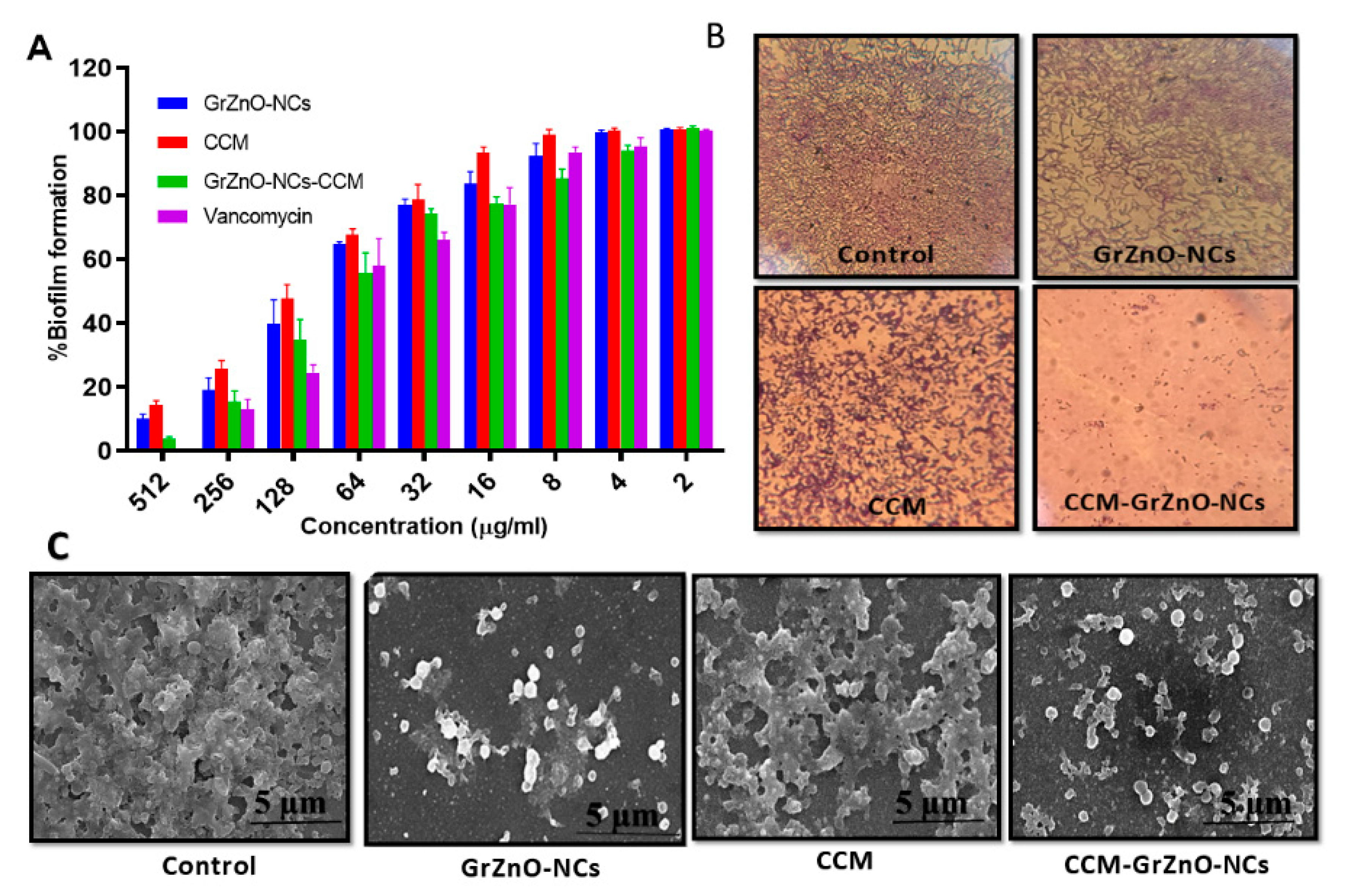 Nanomaterials 10 01453 i002