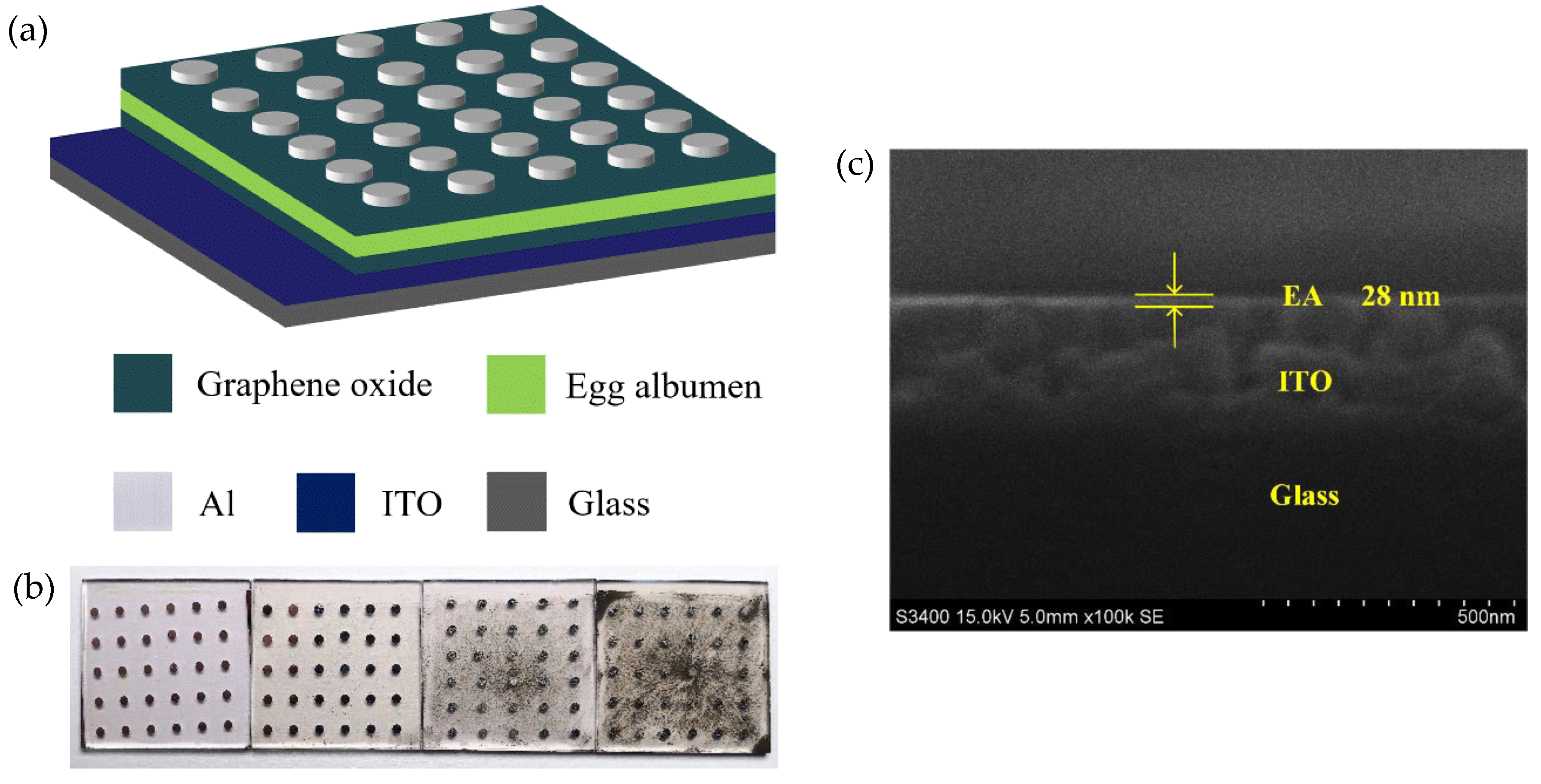 Nanomaterials 10 01491 g001