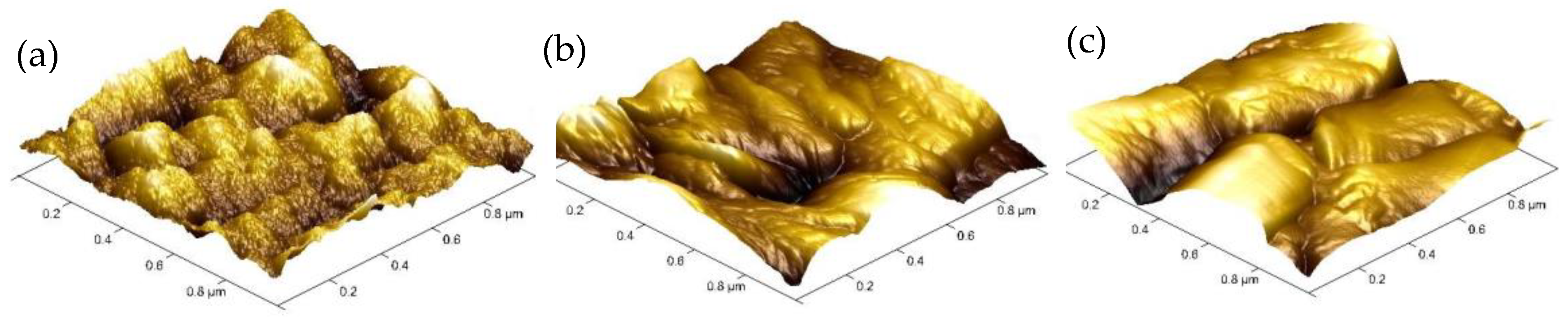 Nanomaterials 10 01491 g003