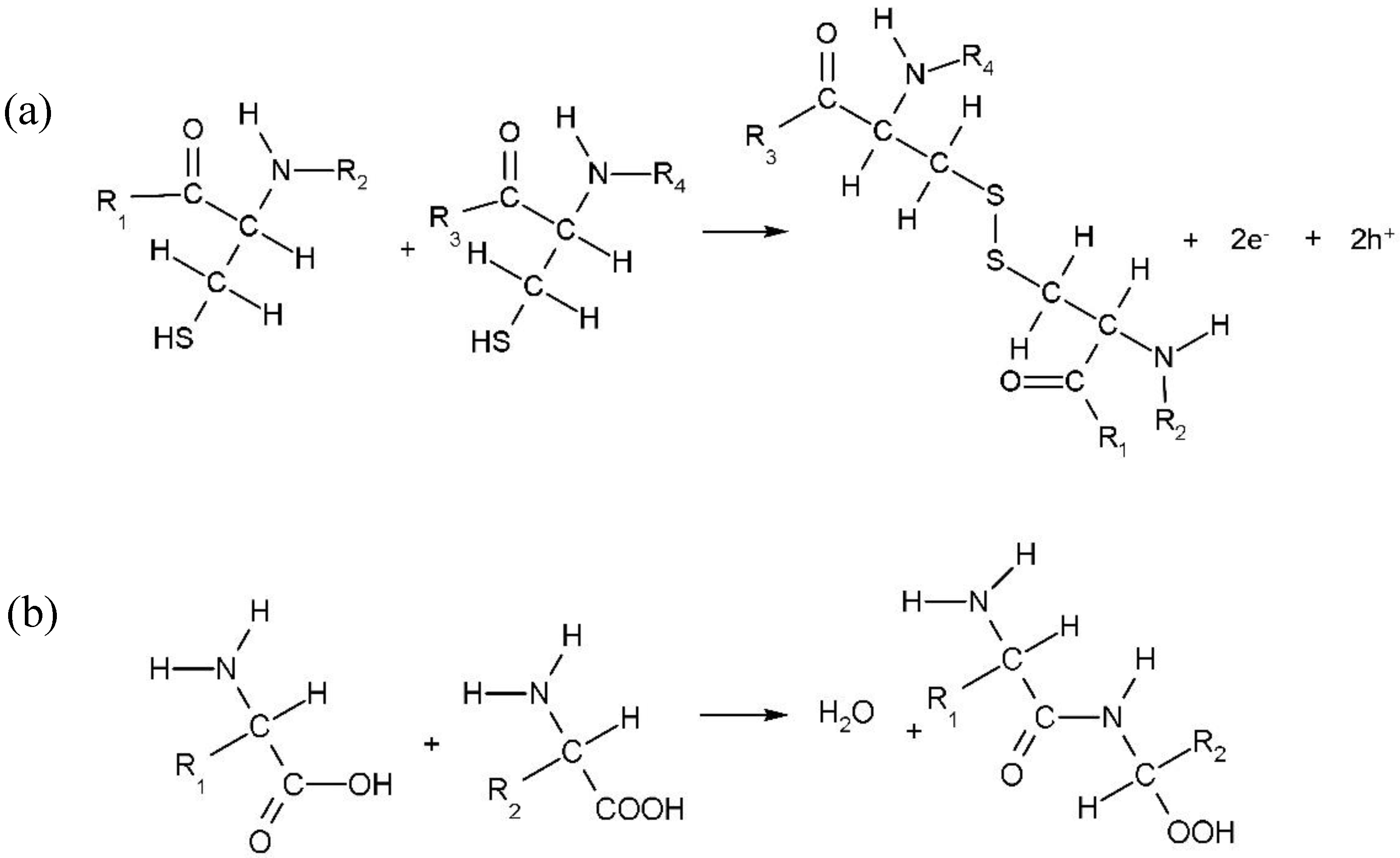 Nanomaterials 10 01491 g015