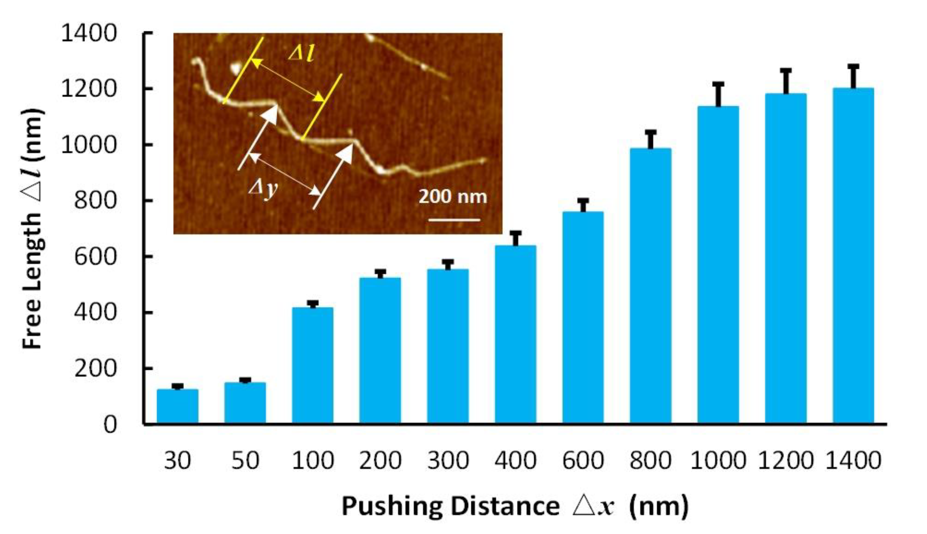 Nanomaterials 10 01494 g003