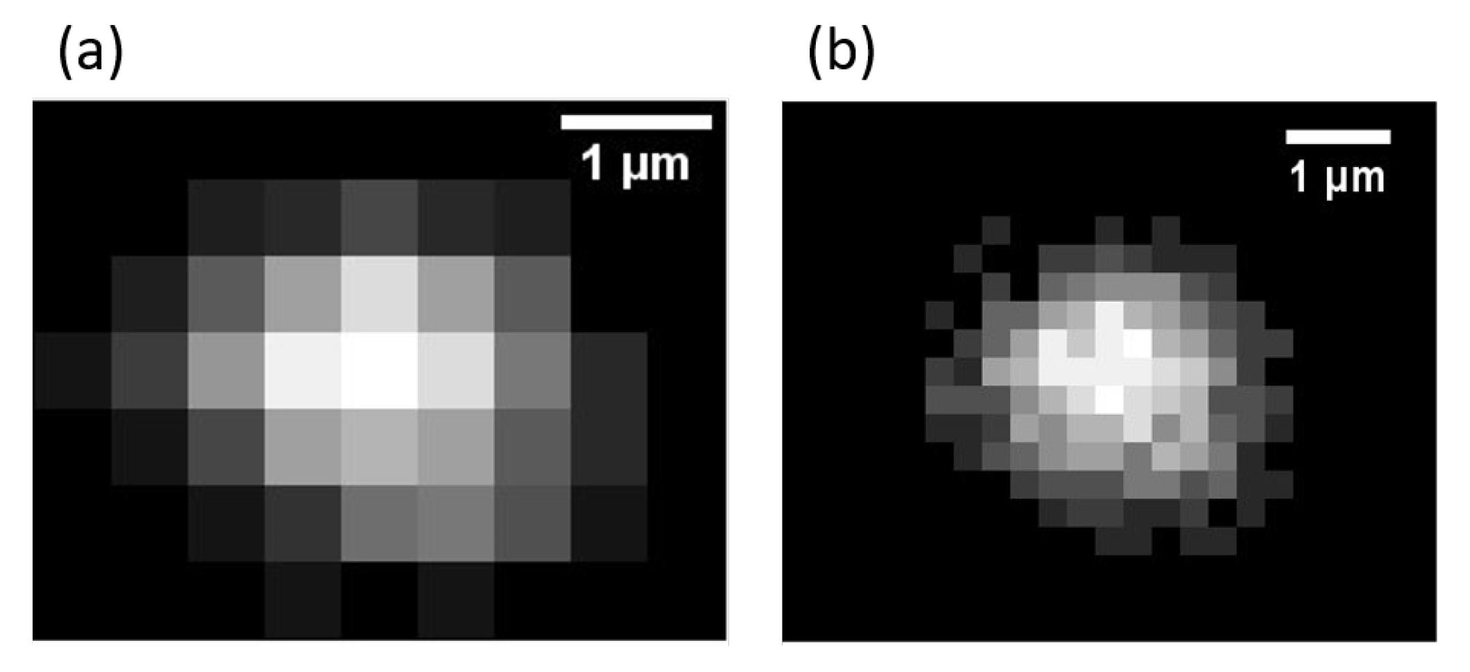 Nanomaterials 10 01519 g002