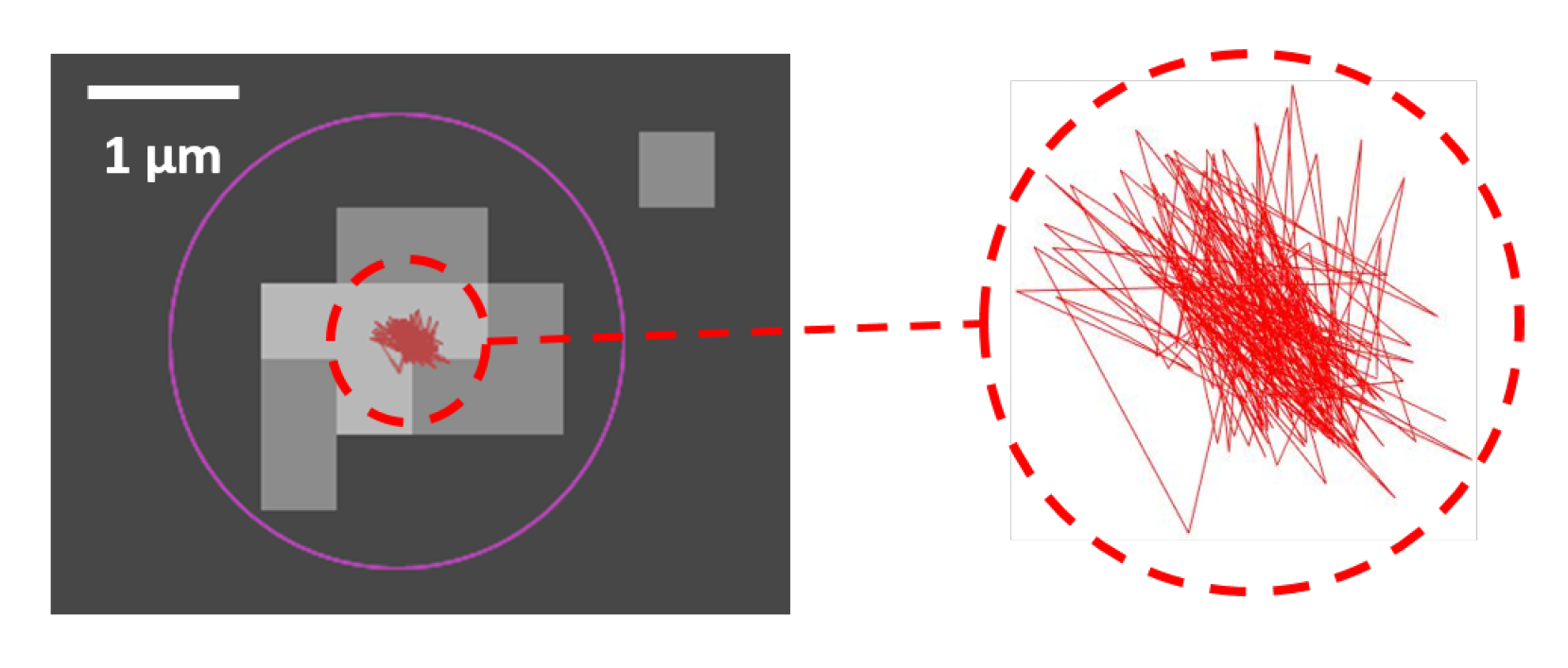 Nanomaterials 10 01519 g007
