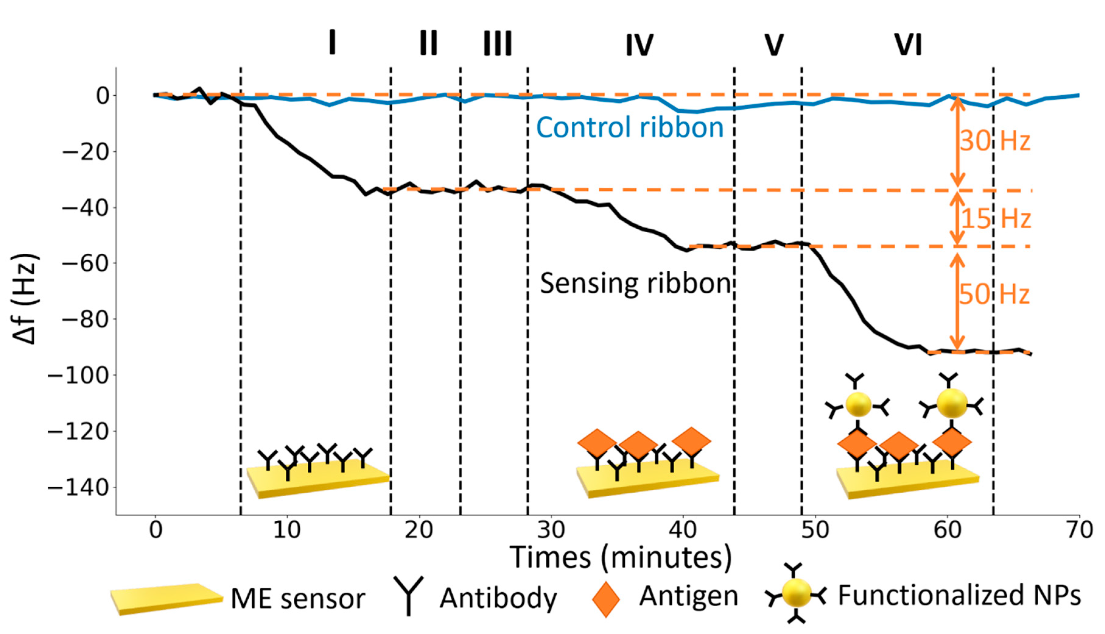 Nanomaterials Free Full Text Core Shell Magnetic Nanoparticles For Highly Sensitive Magnetoelastic Immunosensor Html