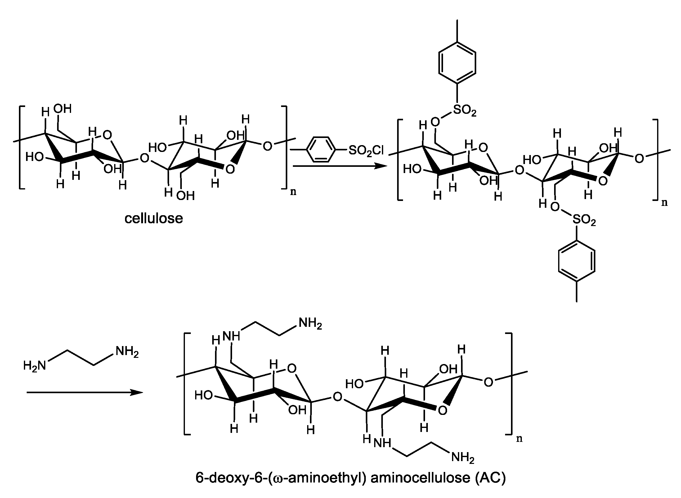 Целлюлоза аминокислоты. Целлюлоза в аминокислоты. Synthesis of Cellulose gif. Синтерированный фильтр deoxy. Синтерированный фильтр deoxy код.