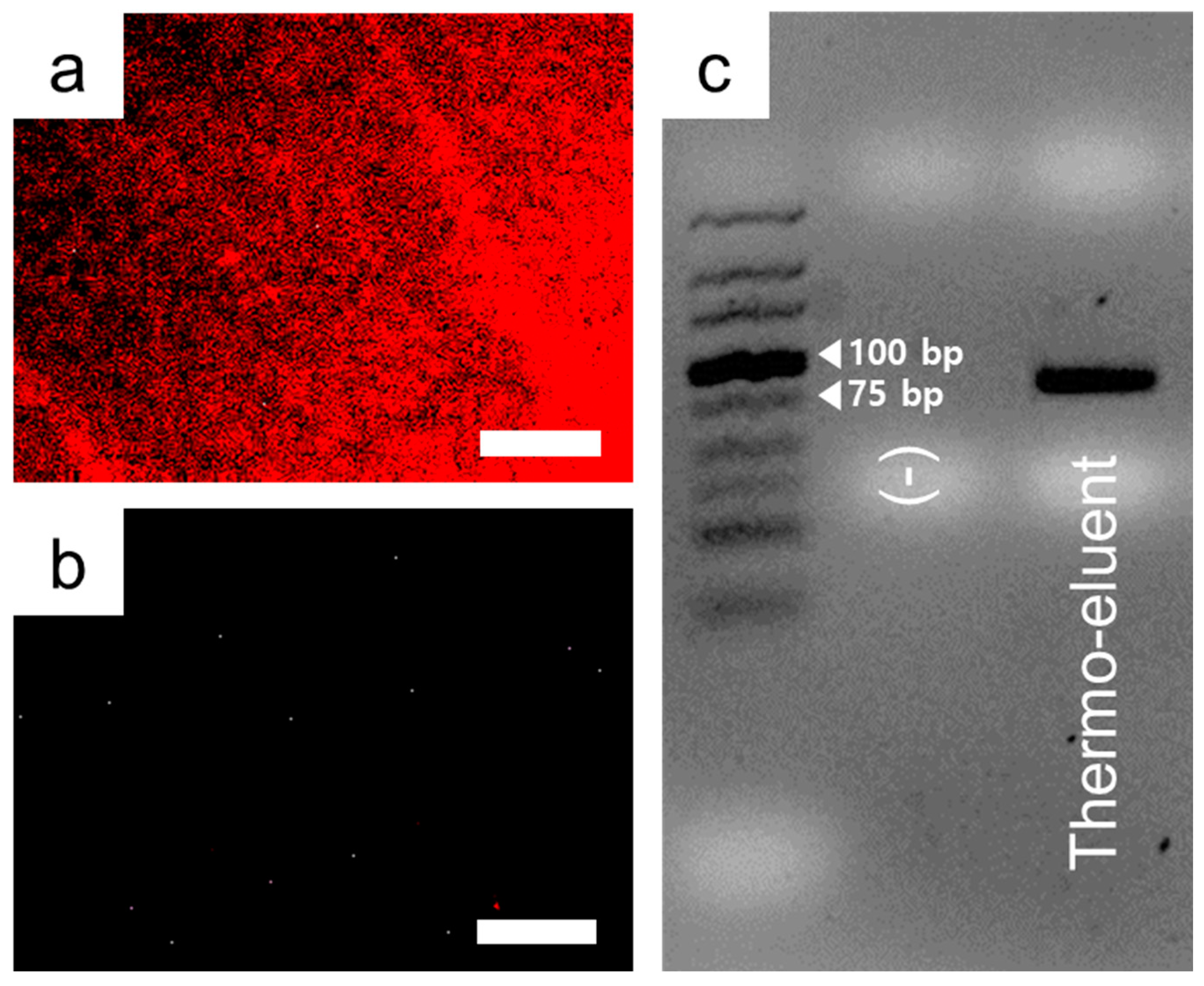 Nanomaterials 10 01533 g004 Nanomaterials 10 01533 g004