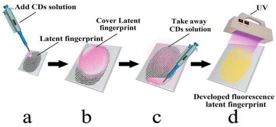 Latent fingerprint images on the aluminum foil substrates (A) N-CDs and