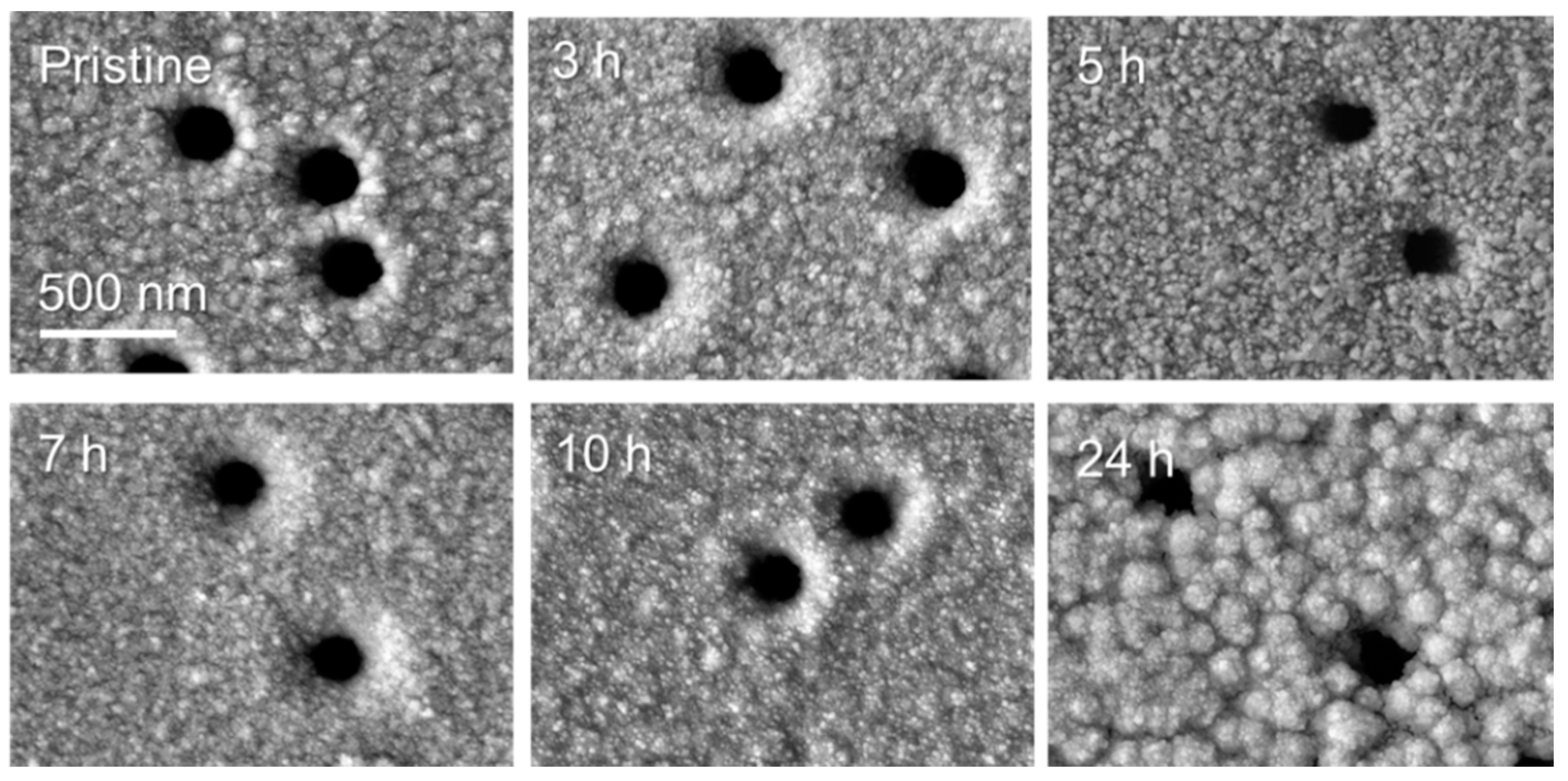 Nanomaterials 10 01552 g004 Nanomaterials 10 01552 g004