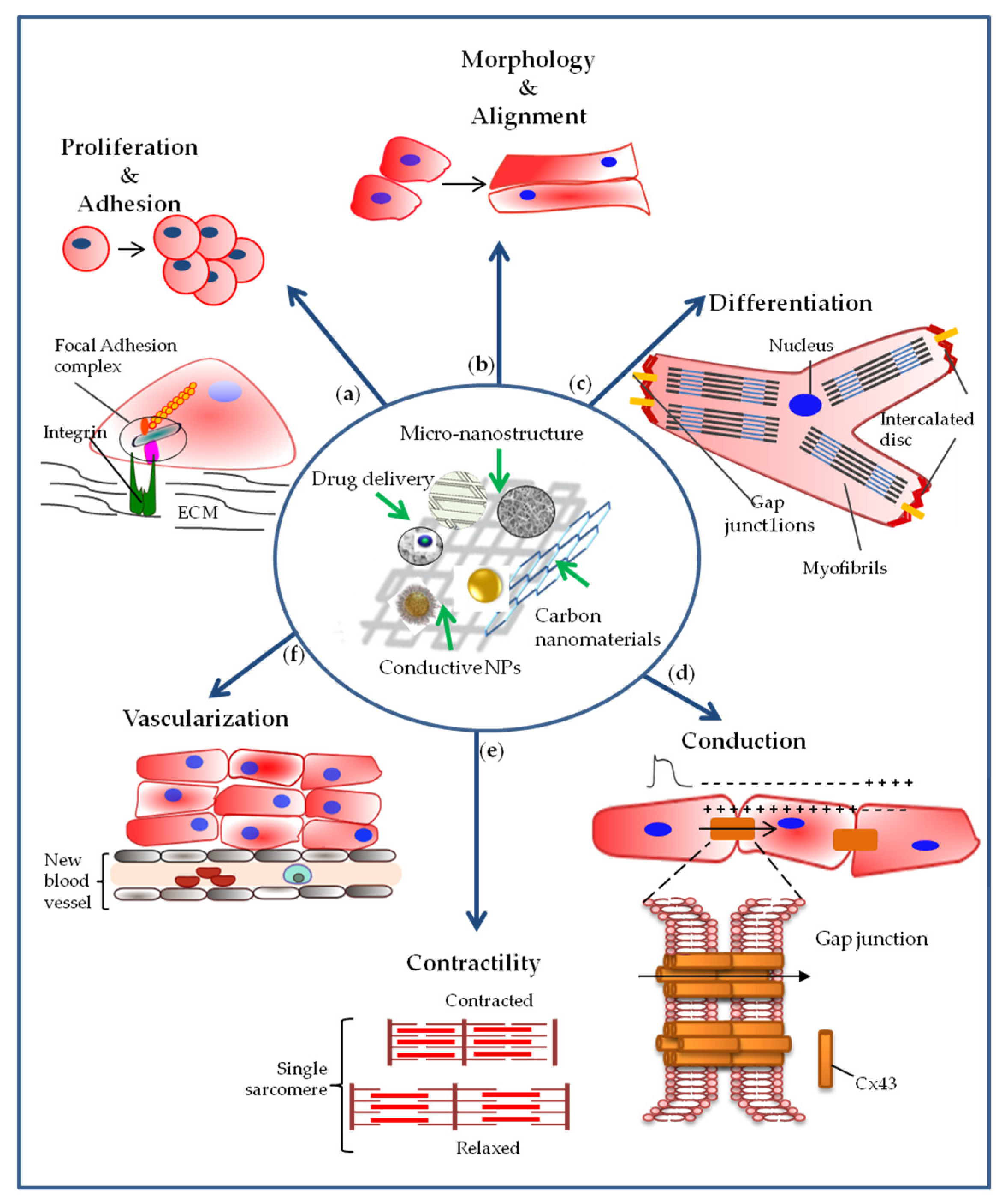 Nanomaterials 10 01587 g003