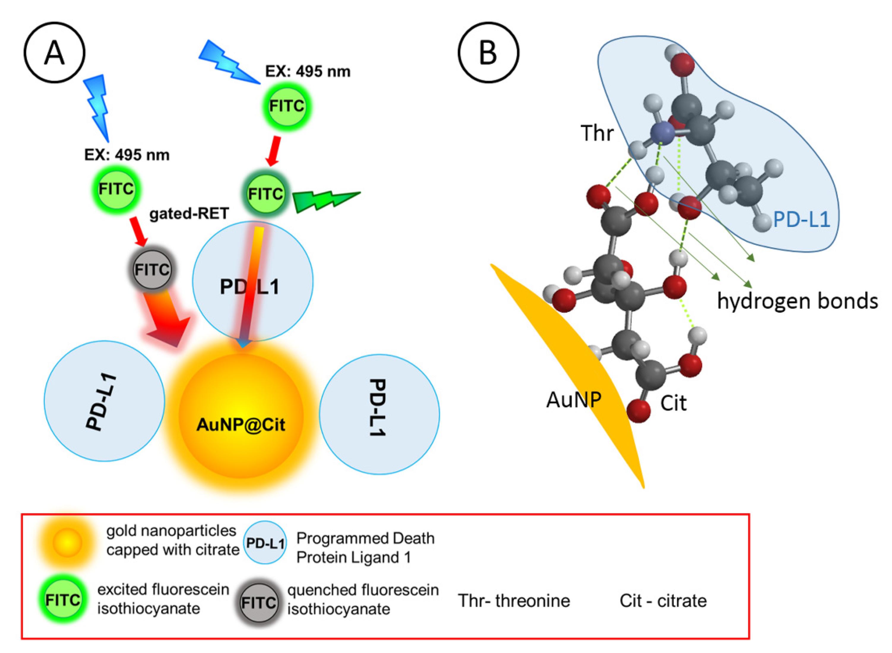 Nanomaterials 10 01592 g004 Nanomaterials 10 01592 g004