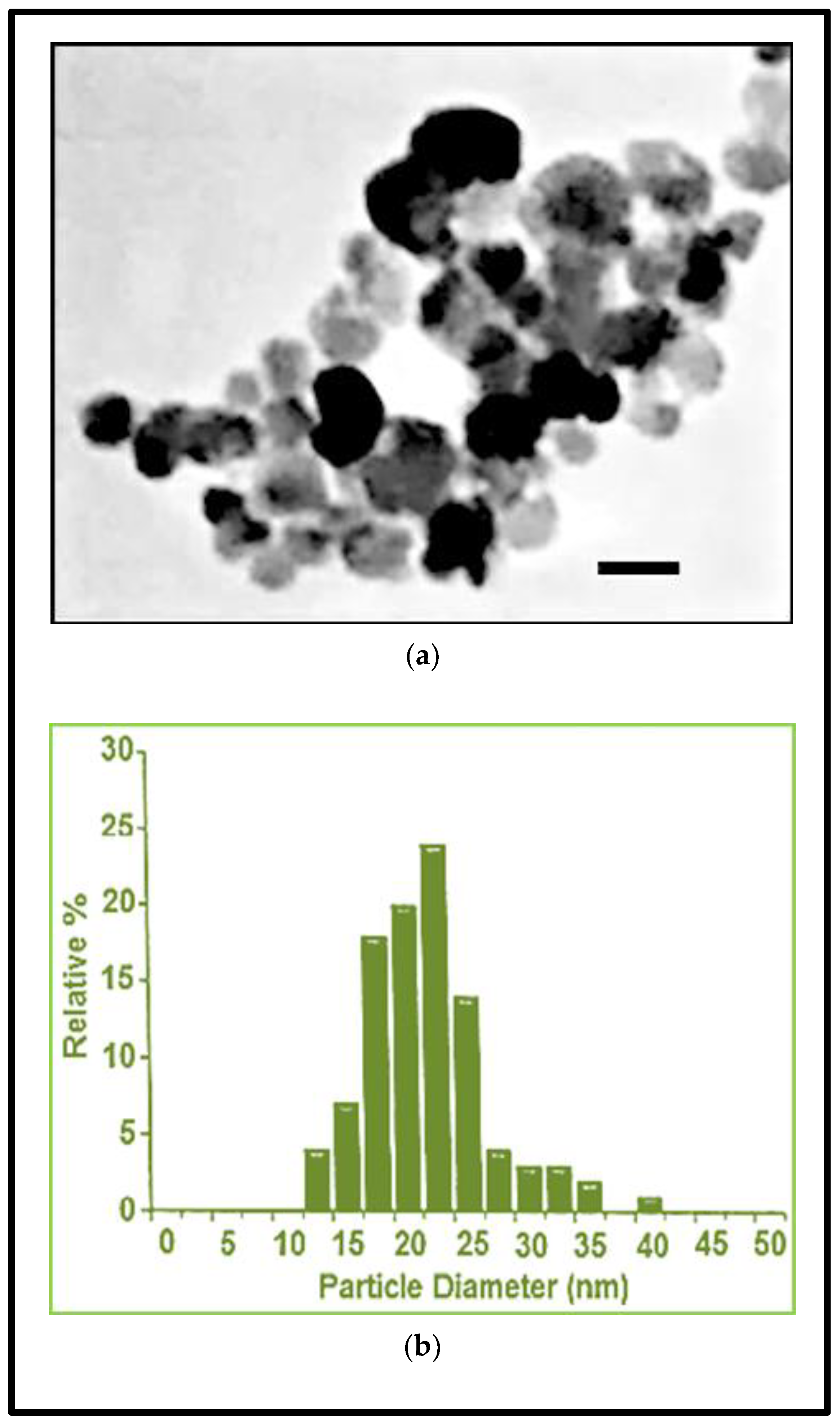 Nanomaterials 10 01607 g001