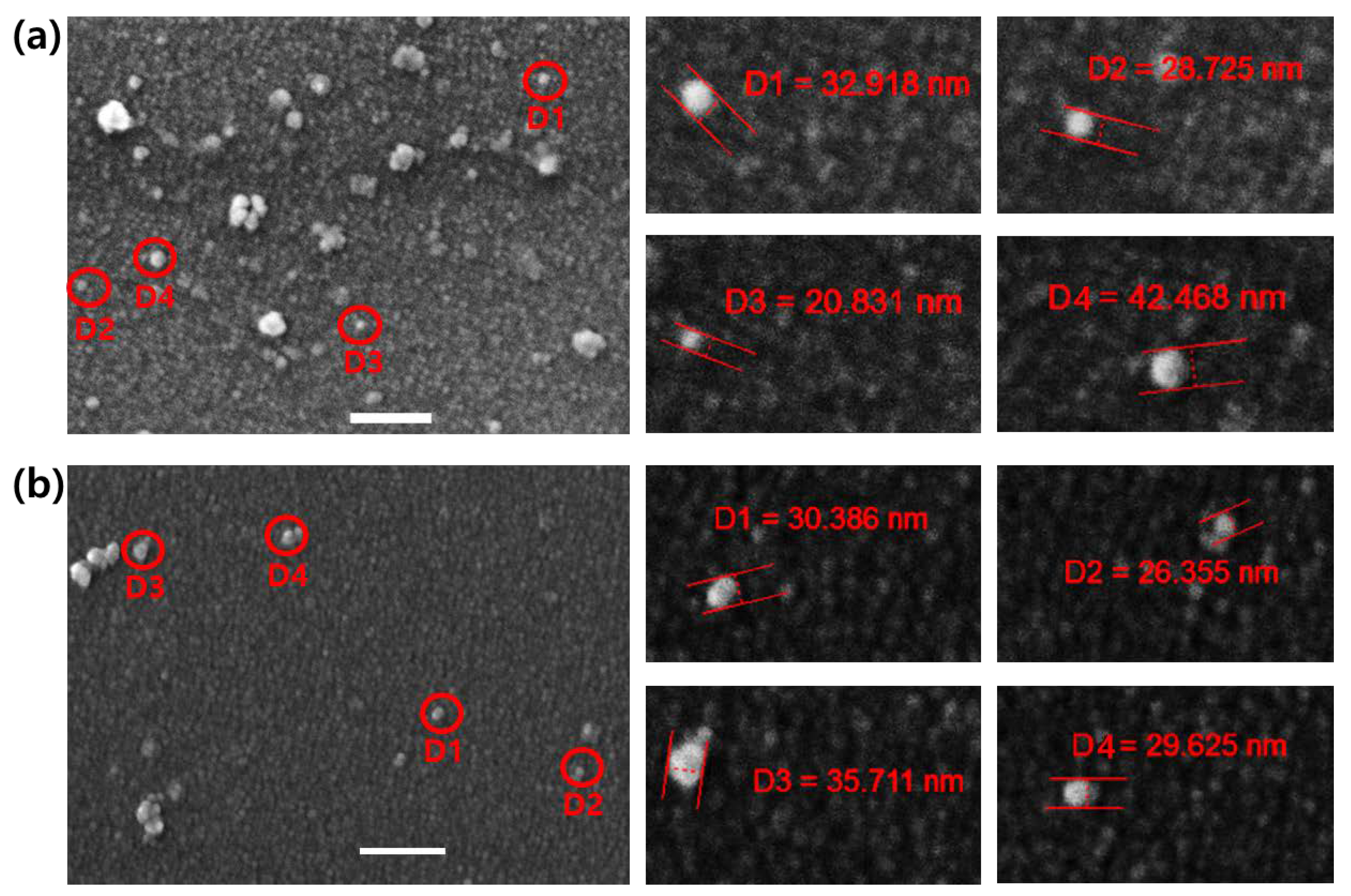 Nanomaterials 10 01615 g005