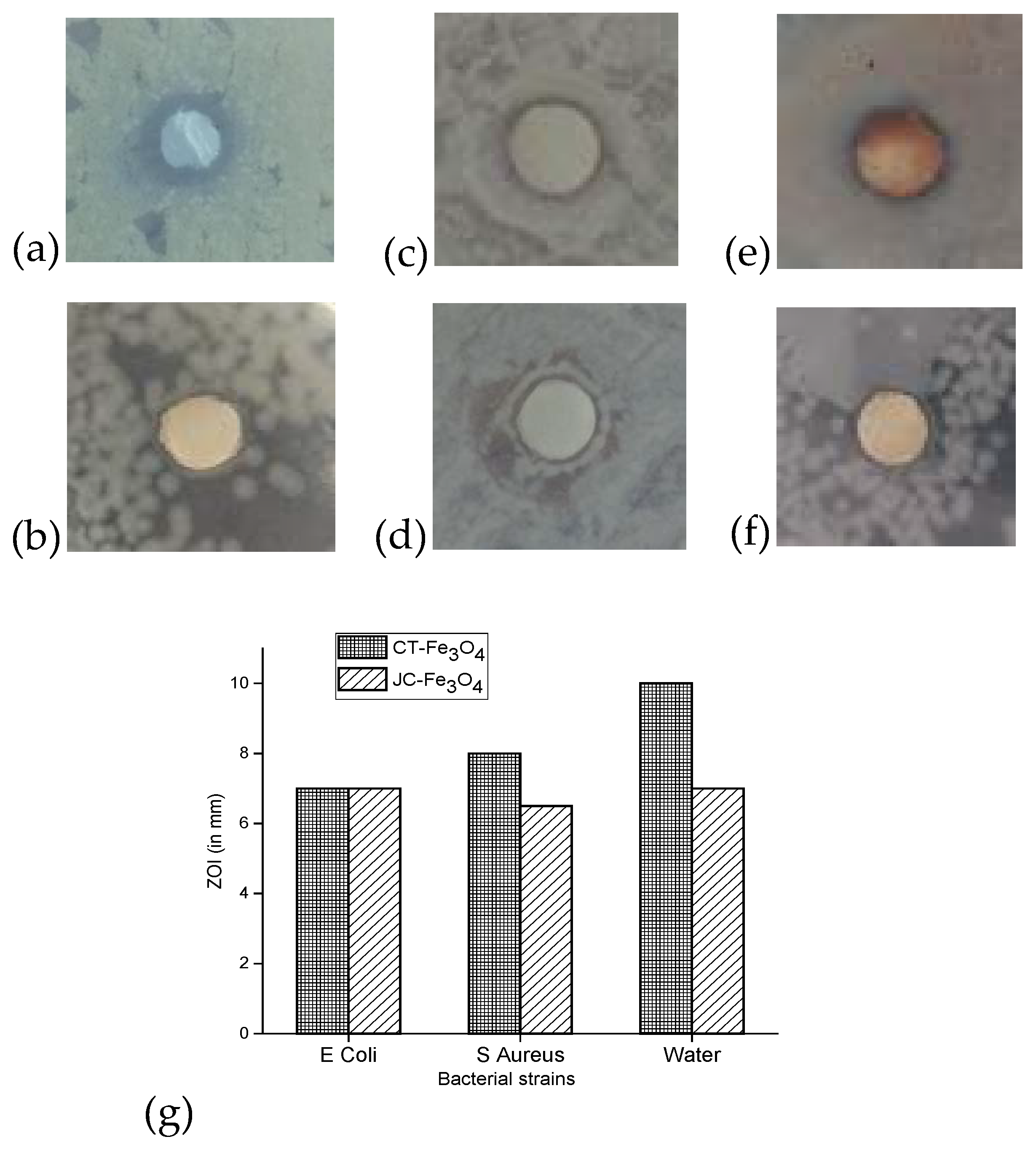 Nanomaterials 10 01615 g010