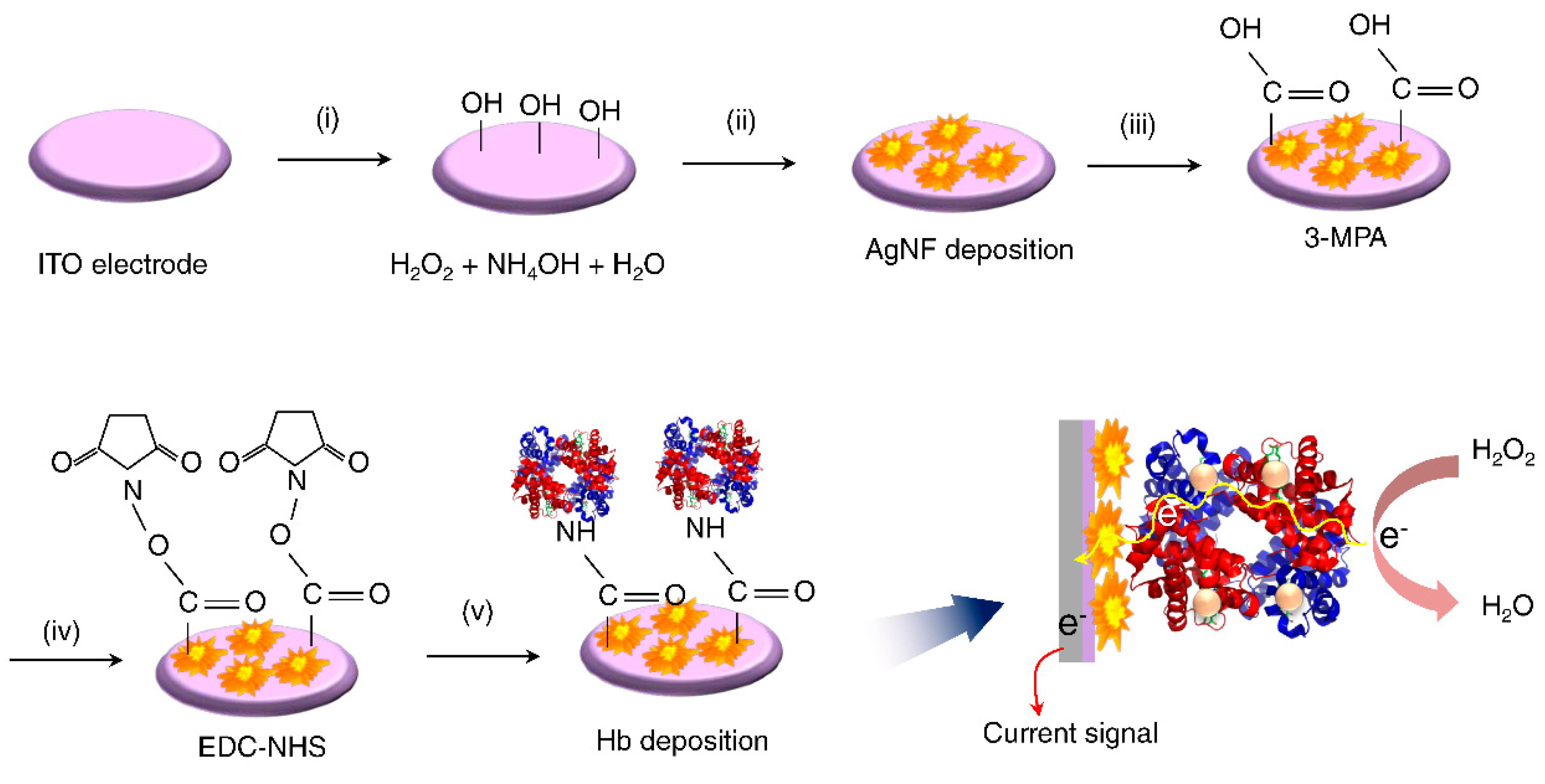 Nanomaterials 10 01628 g001