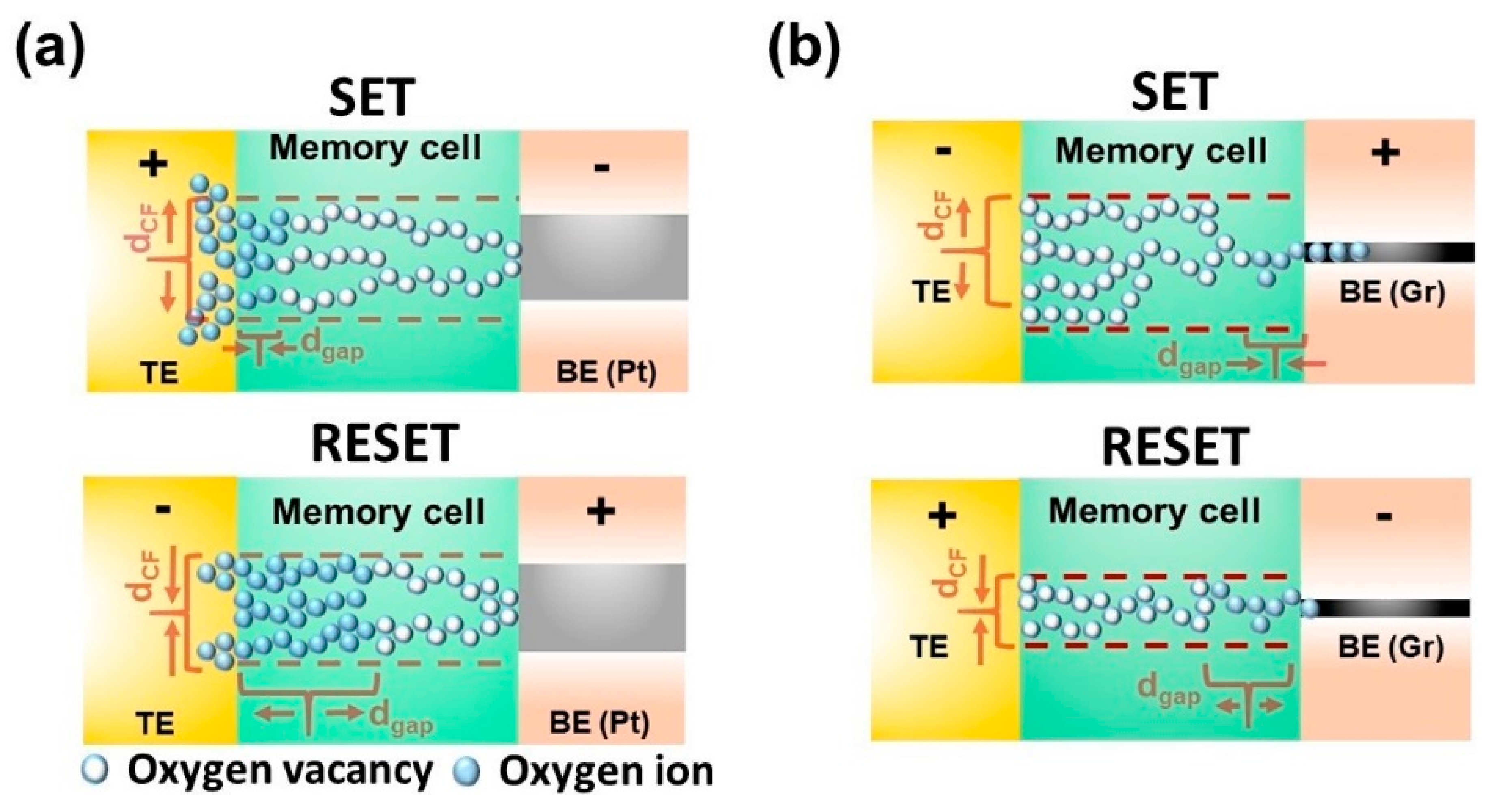 Nanomaterials 10 01634 g005