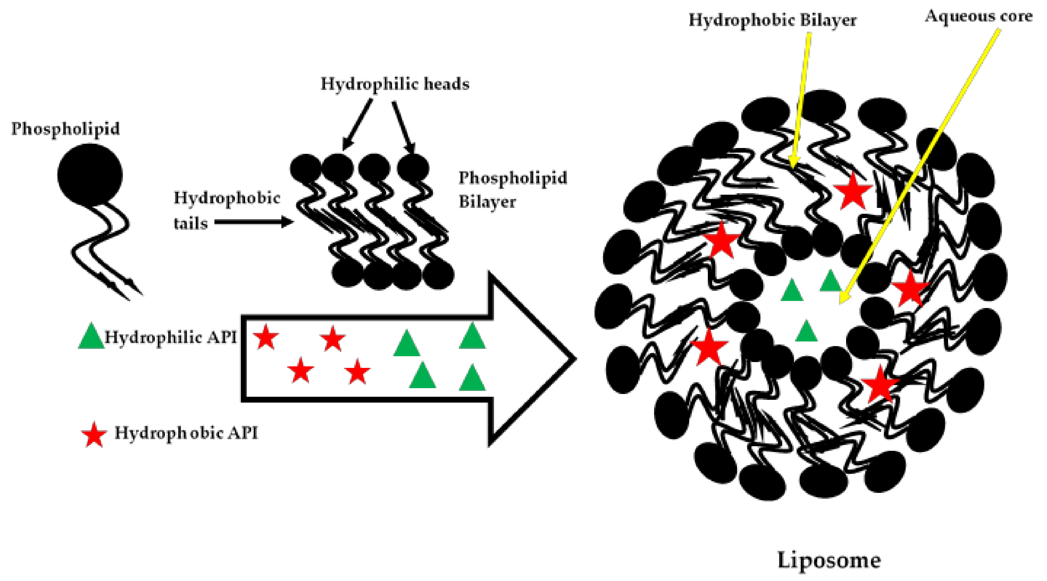 Nanomaterials 10 01649 g003 Nanomaterials 10 01649 g003