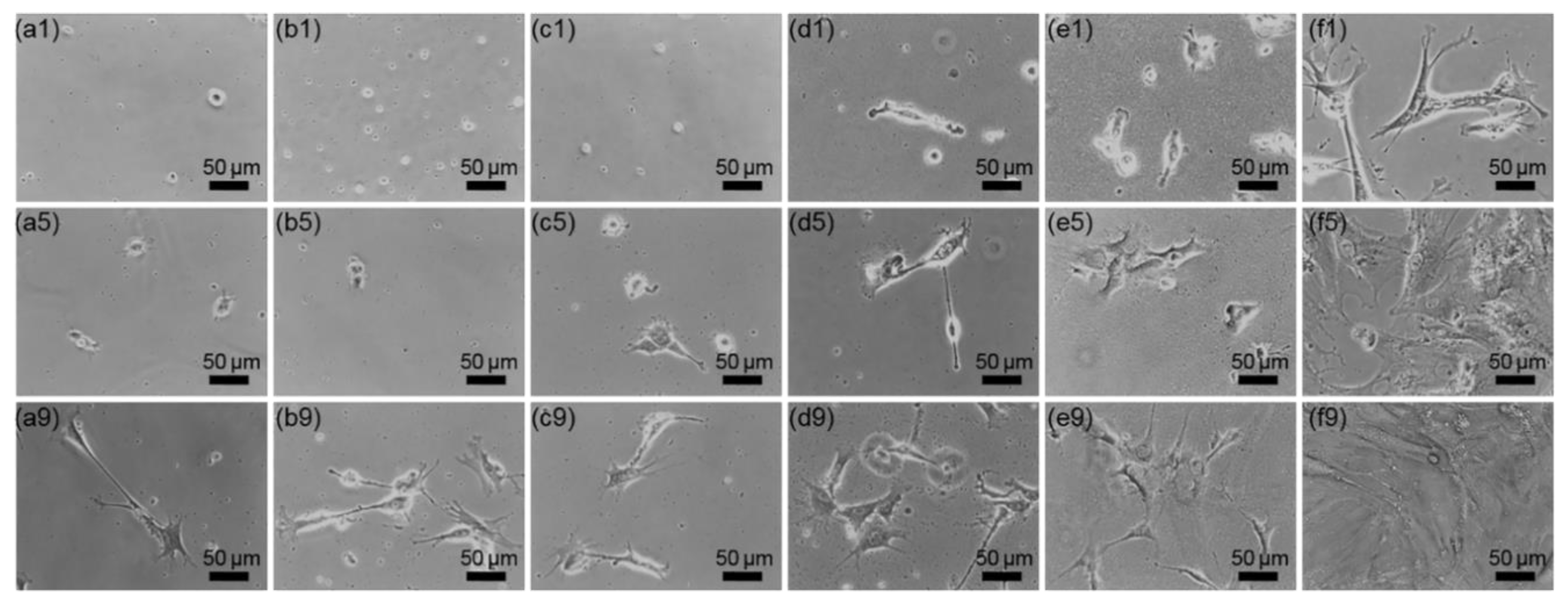 Nanomaterials 10 01651 g003 Nanomaterials 10 01651 g003