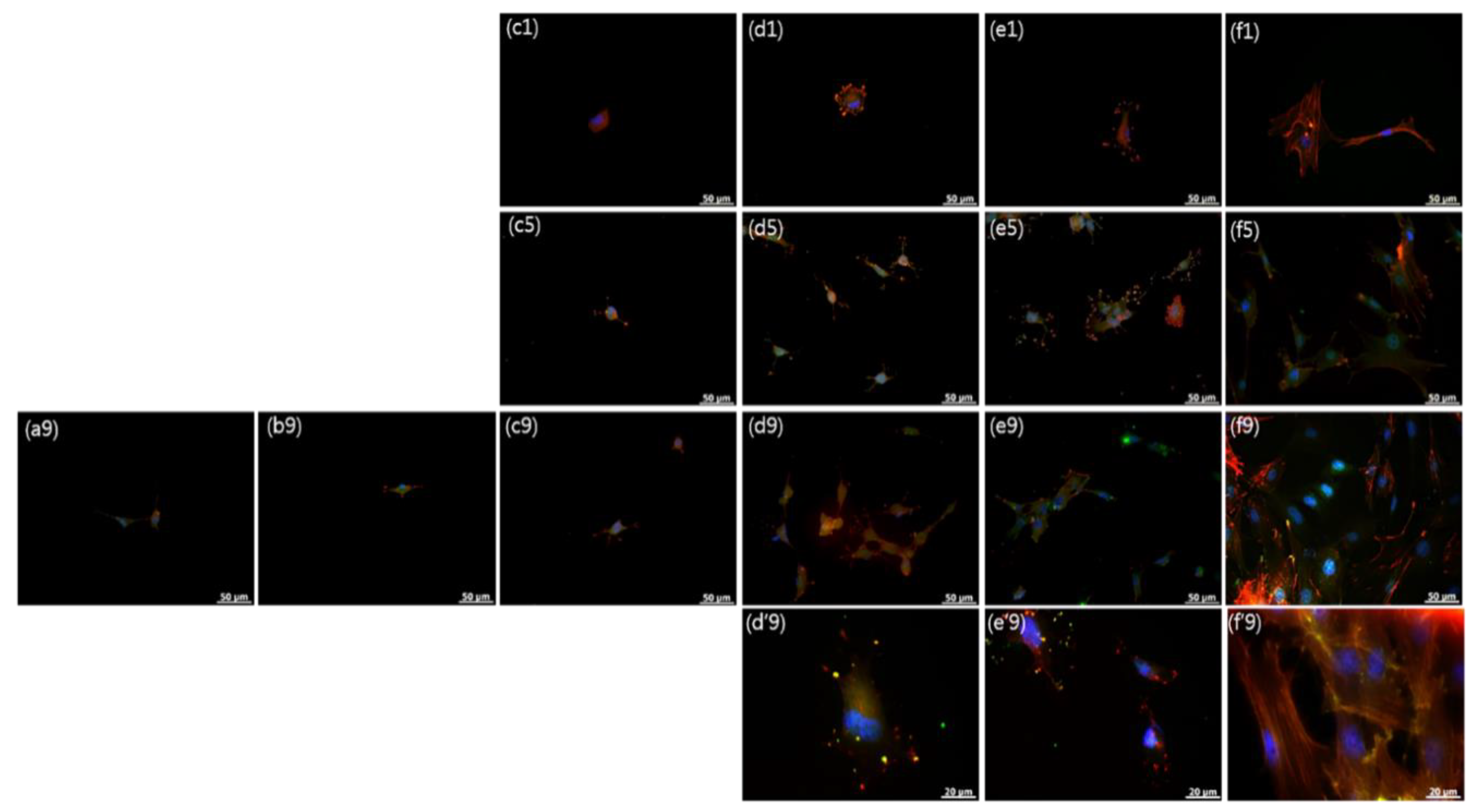 Nanomaterials 10 01651 g006 Nanomaterials 10 01651 g006