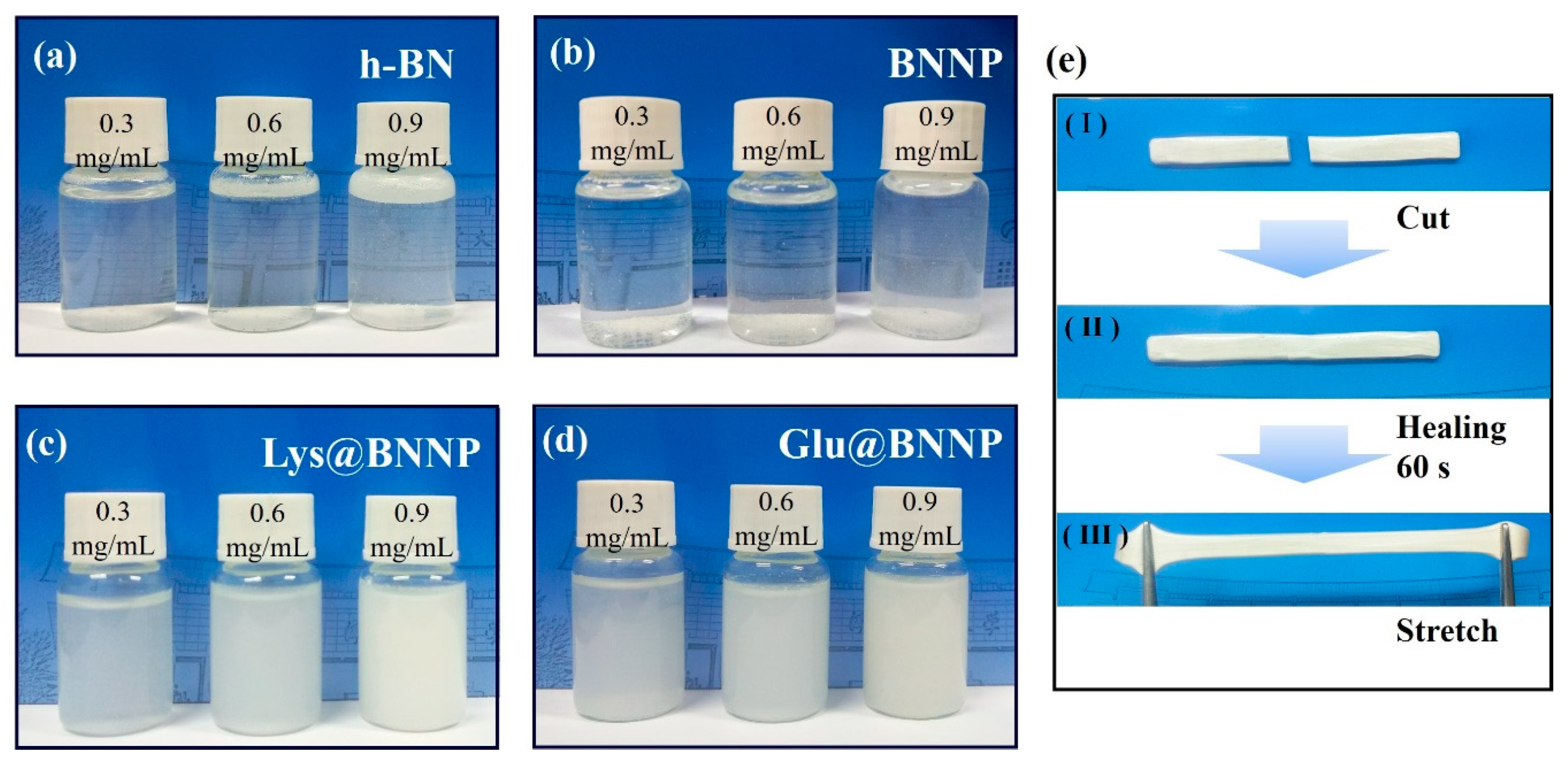 Nanomaterials 10 01652 g004