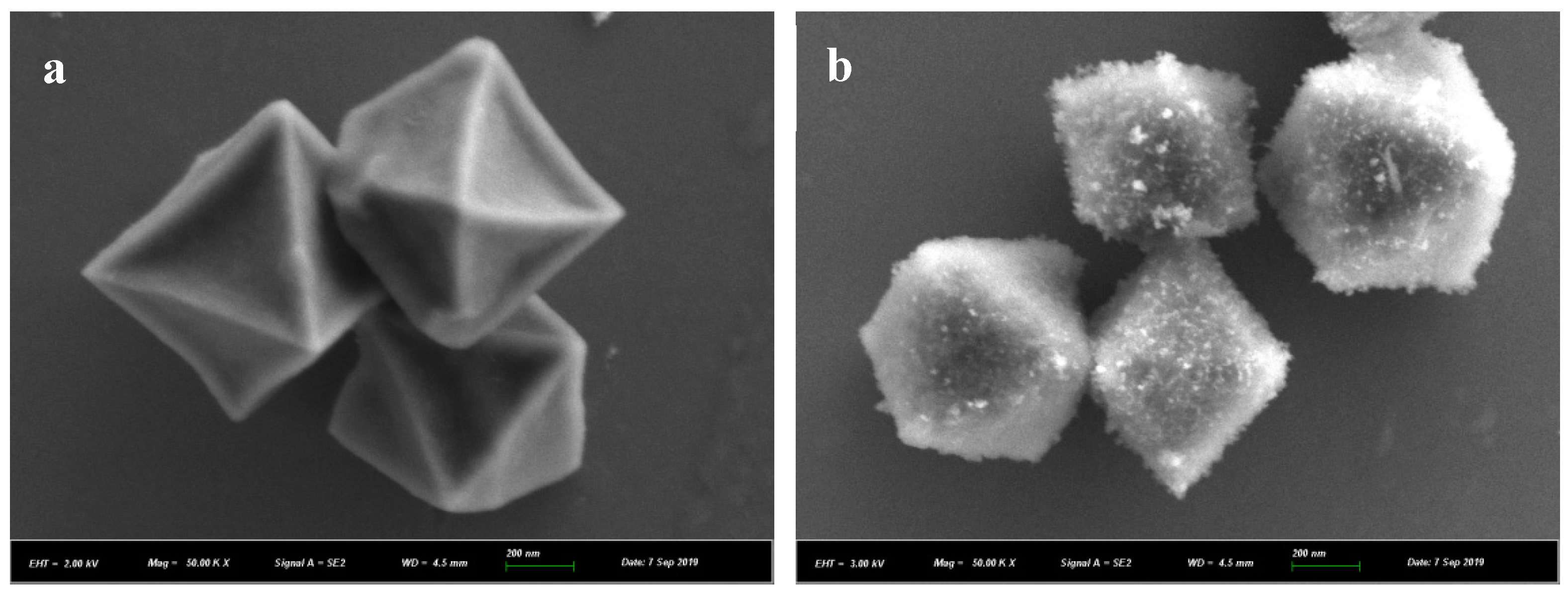 Nanomaterials 10 01655 g001a