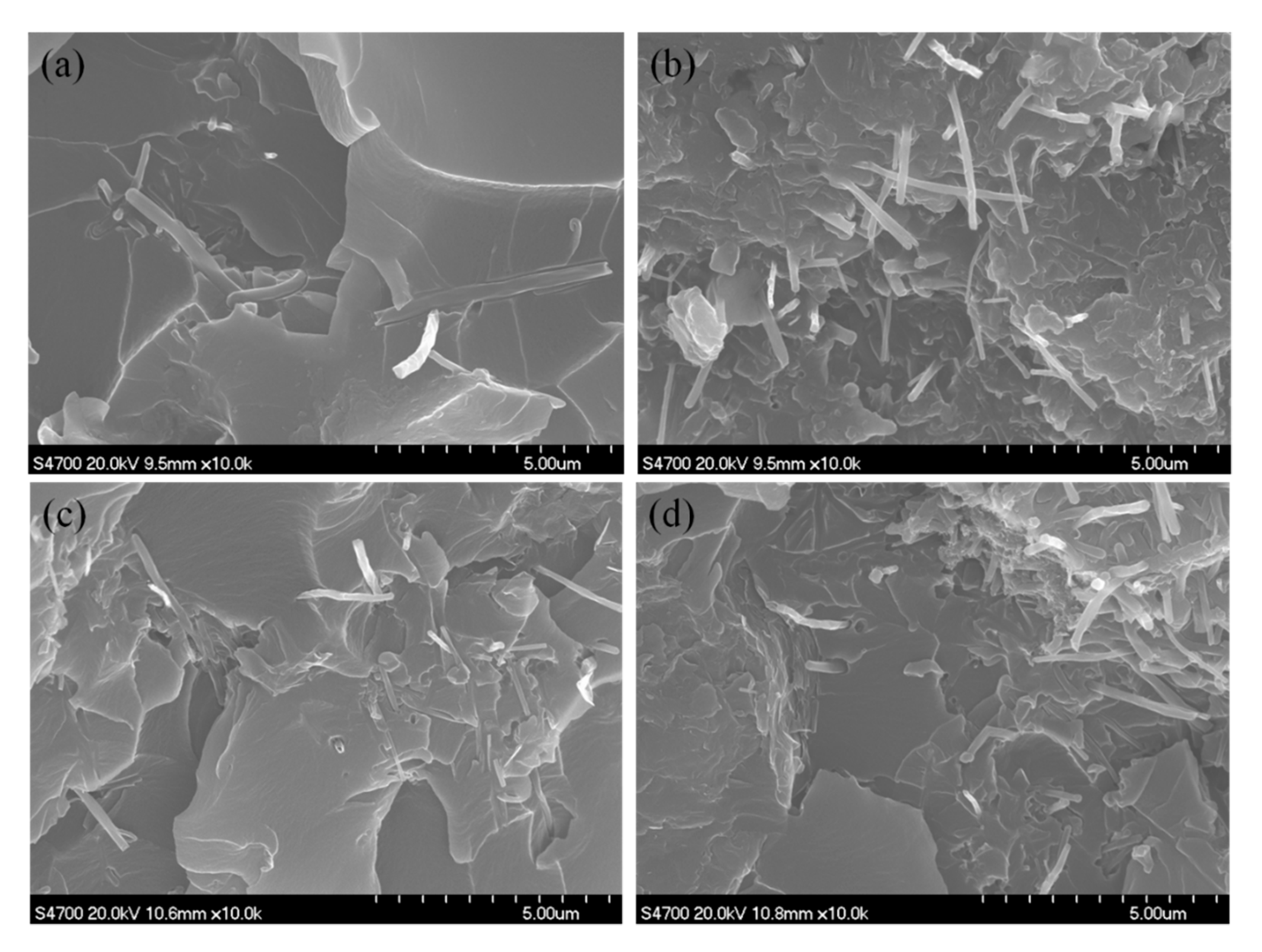Nanomaterials 10 01670 g003 Nanomaterials 10 01670 g003