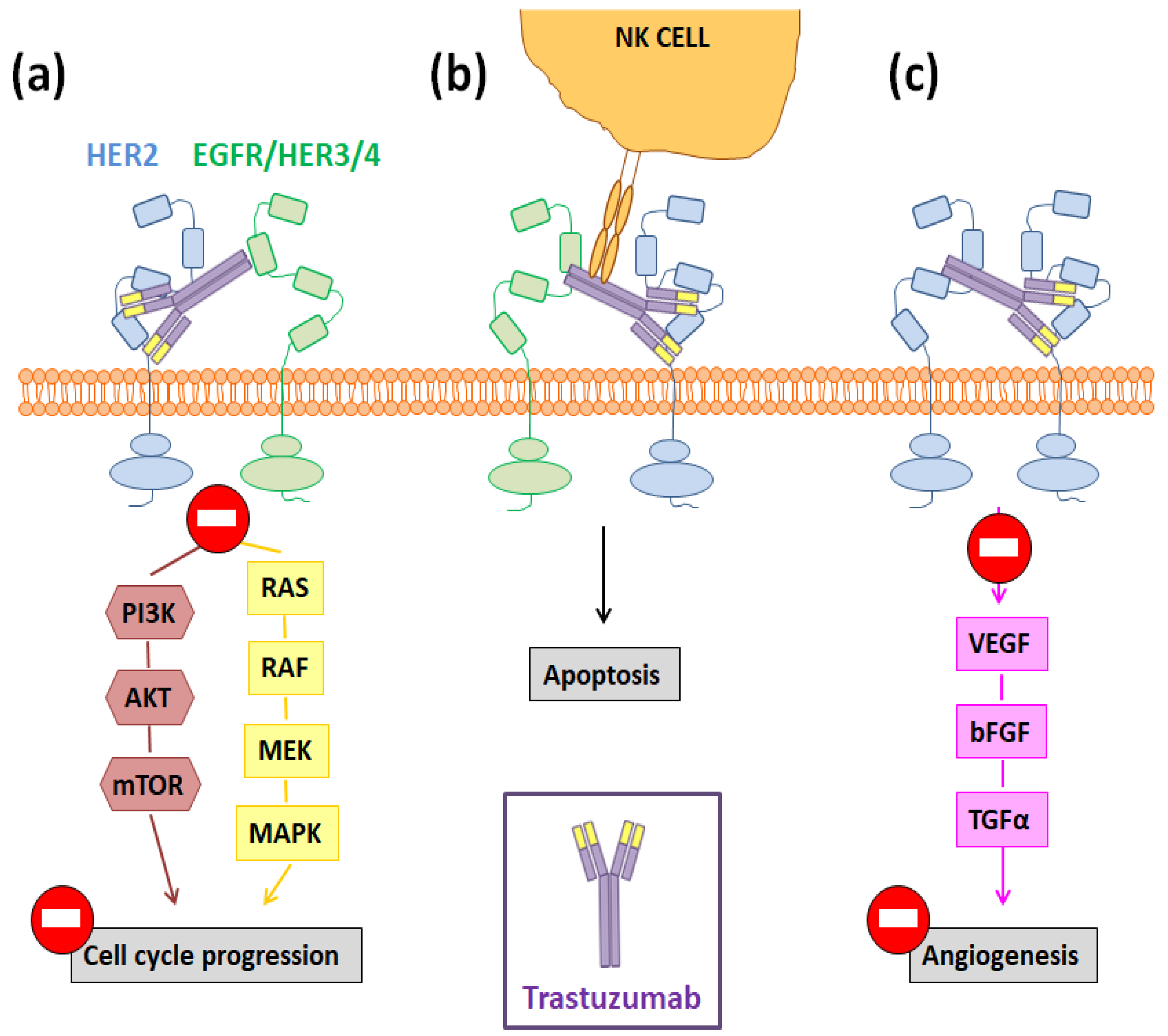 Nanomaterials 10 01674 g002