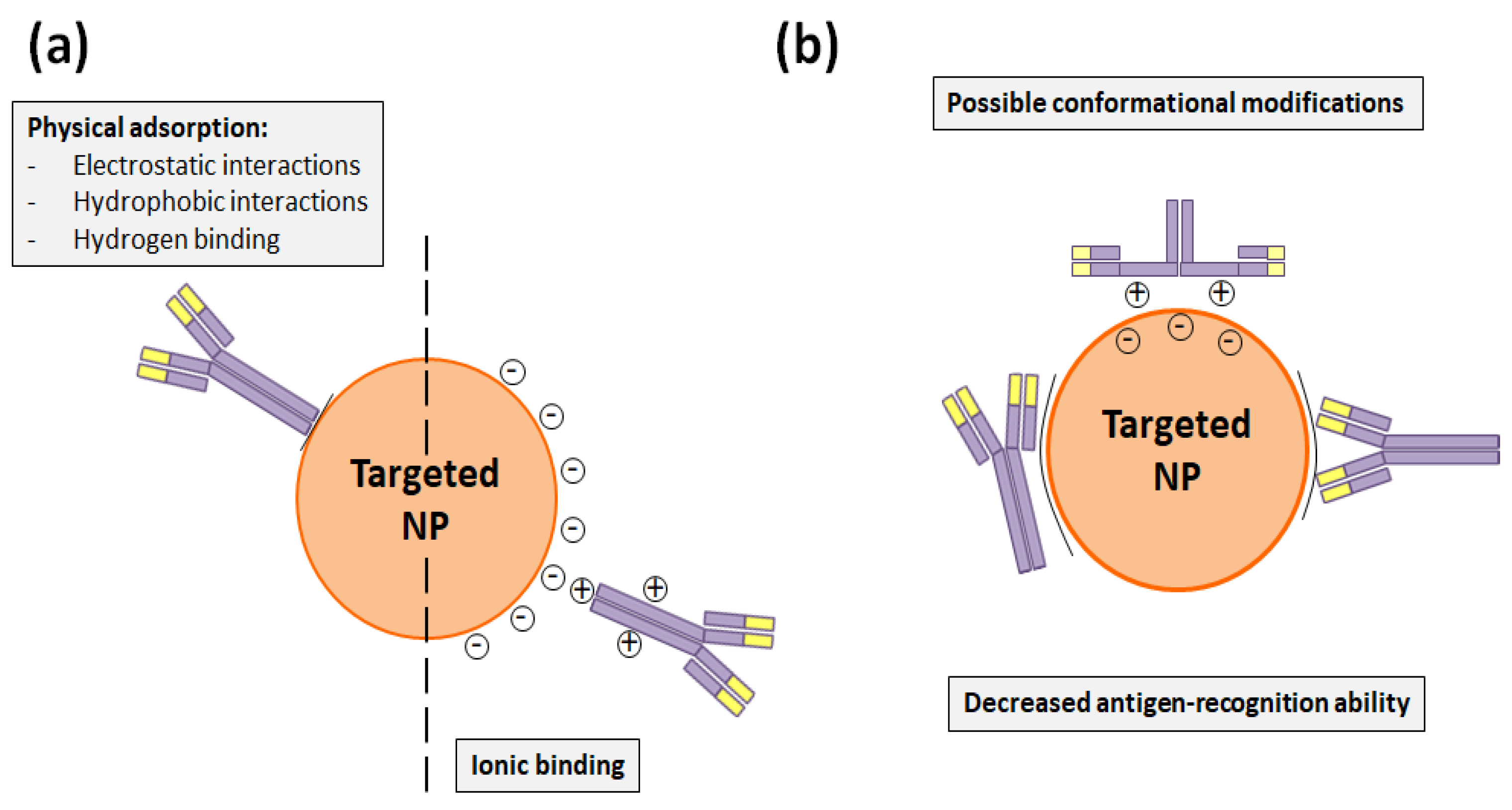 Nanomaterials 10 01674 g003