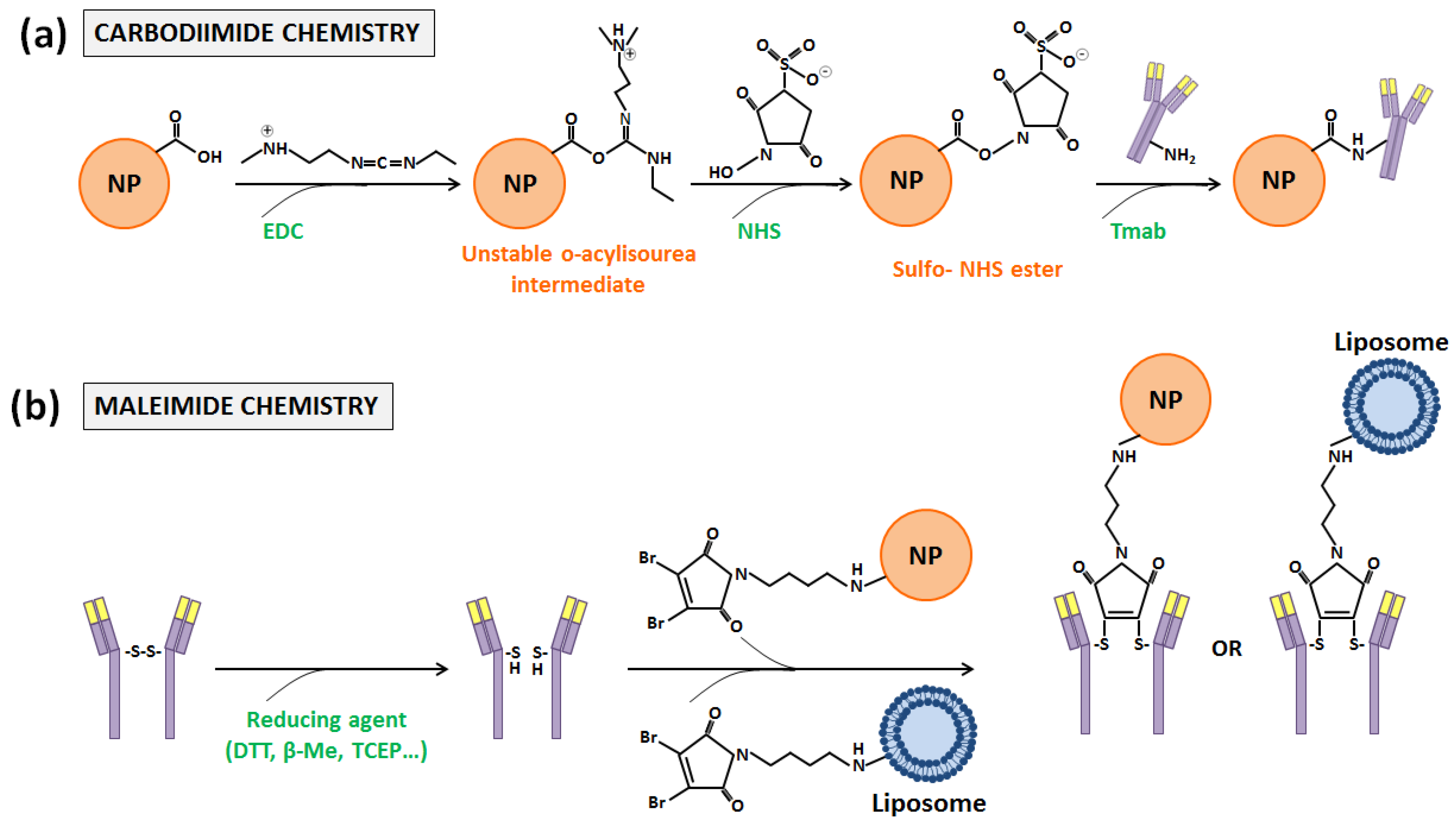 Nanomaterials 10 01674 g004