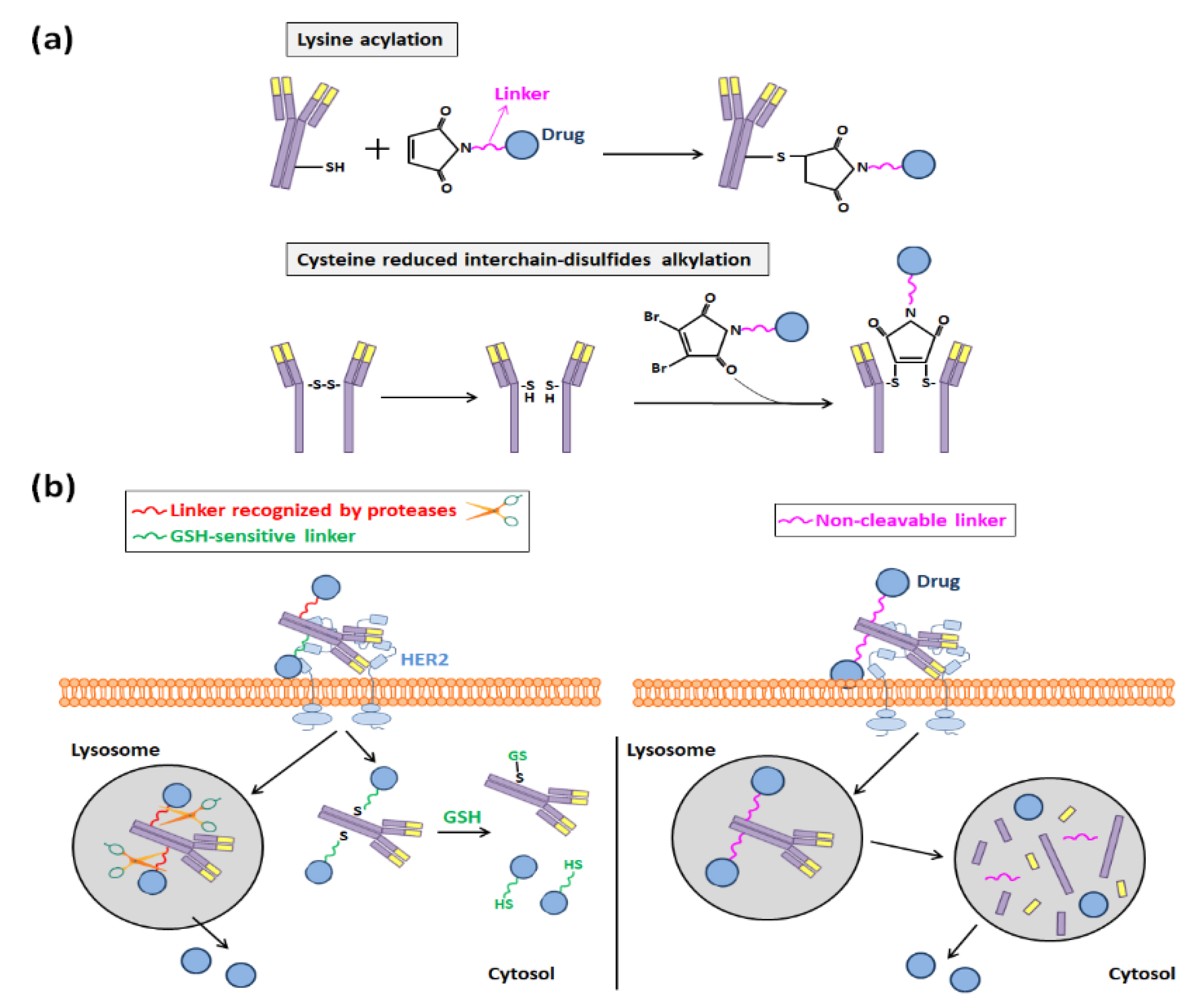 Nanomaterials 10 01674 g006