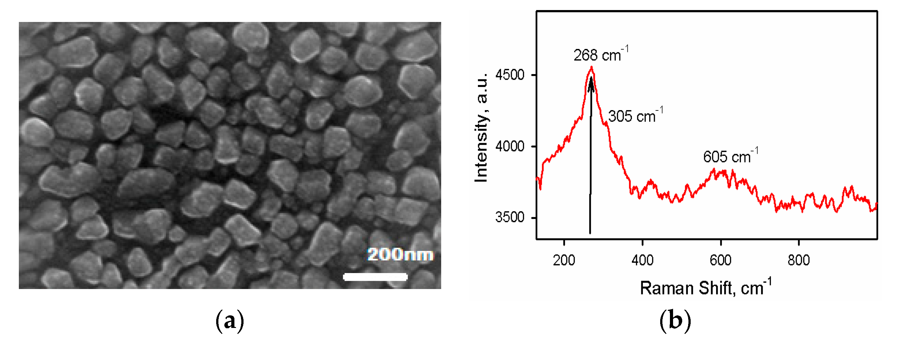 Nanomaterials 10 01677 g002