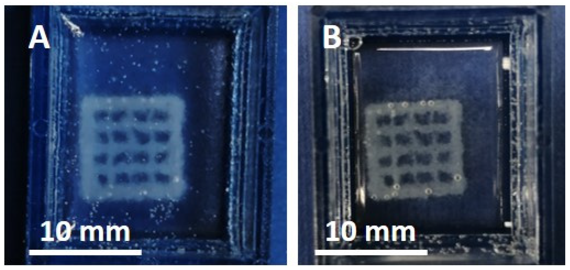 Nanomaterials 10 01681 g005 Nanomaterials 10 01681 g005