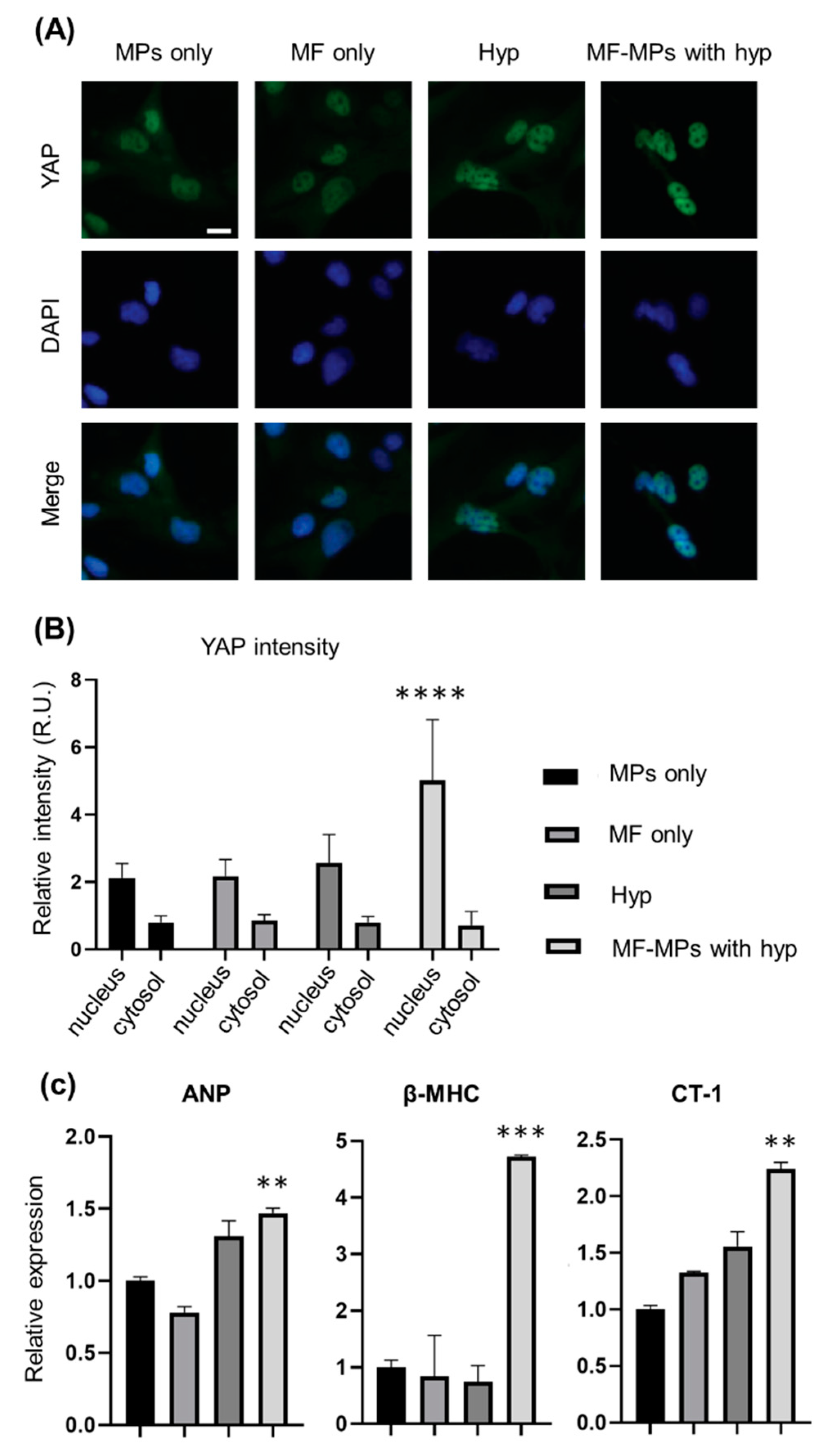 Nanomaterials 10 01684 g003