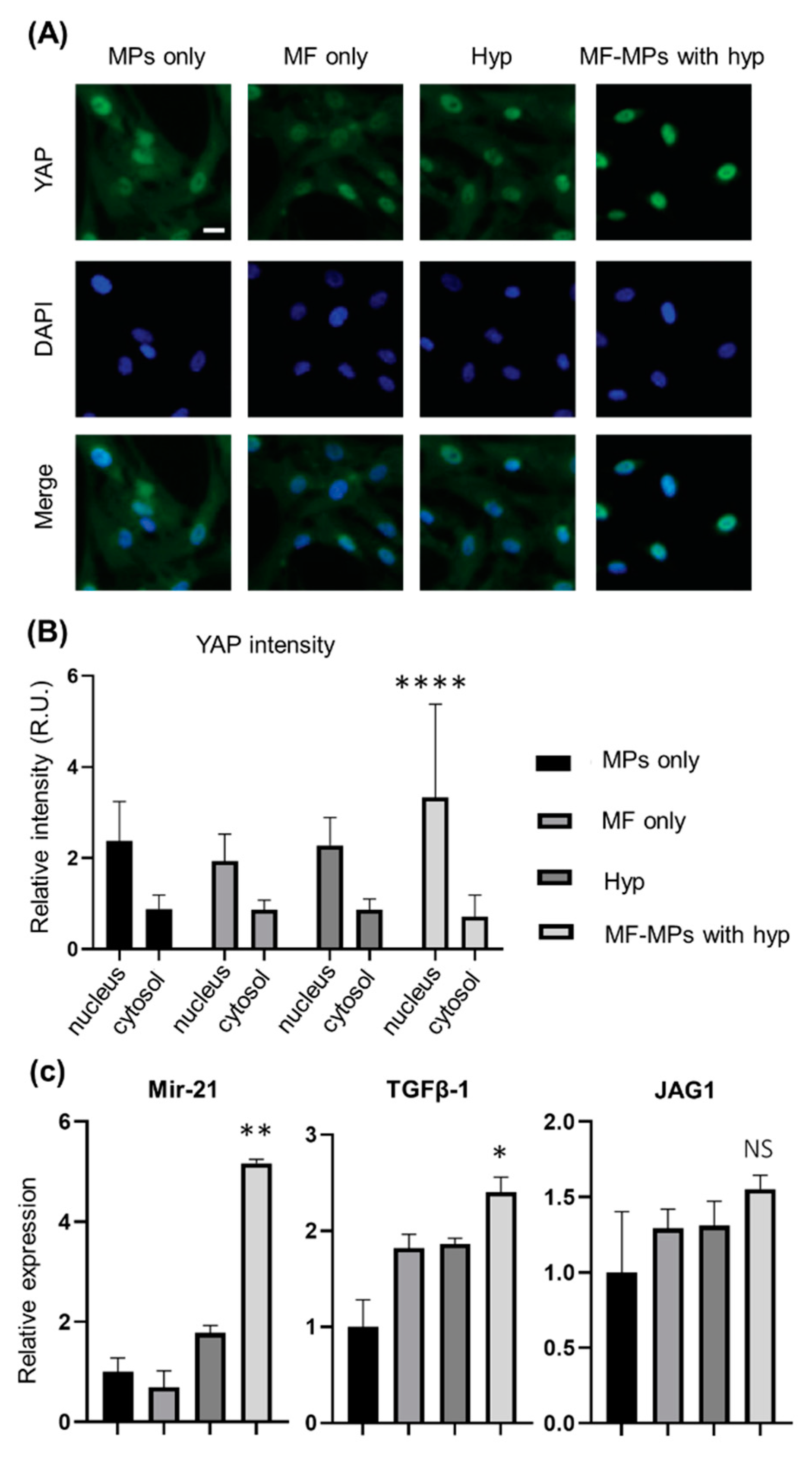 Nanomaterials 10 01684 g004