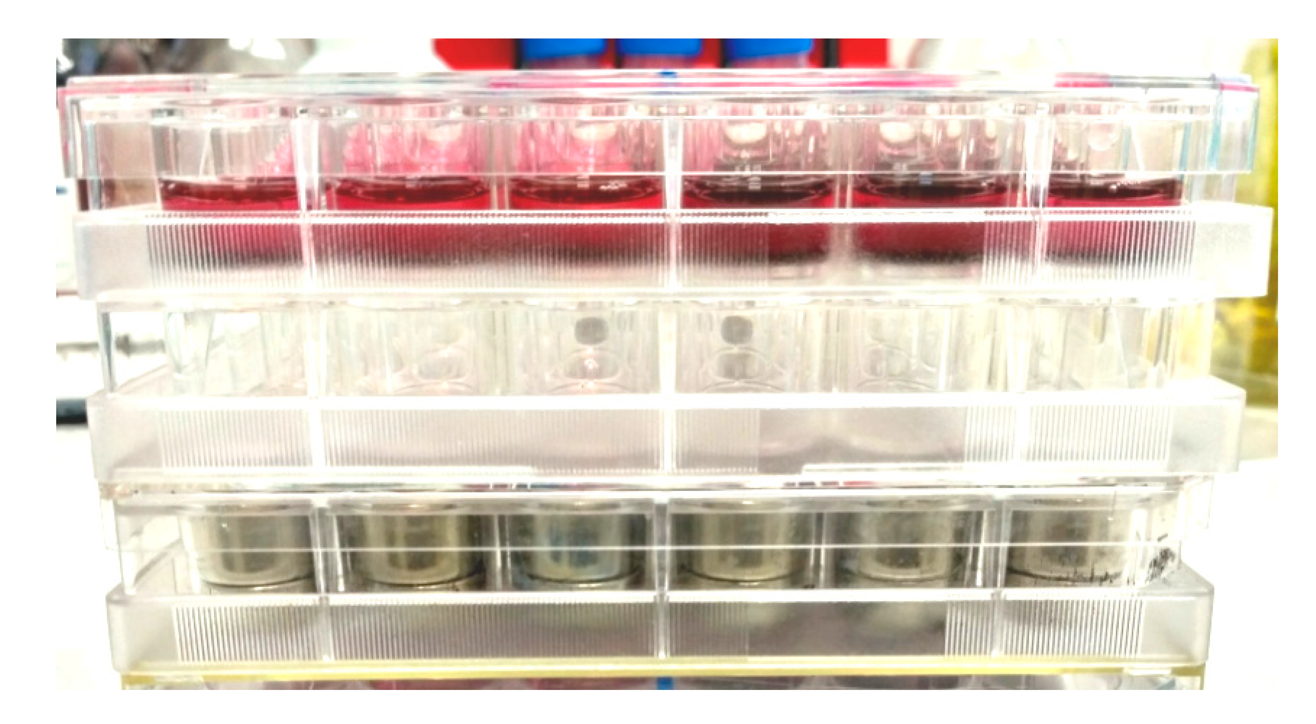 Nanomaterials 10 01697 g004 Nanomaterials 10 01697 g004