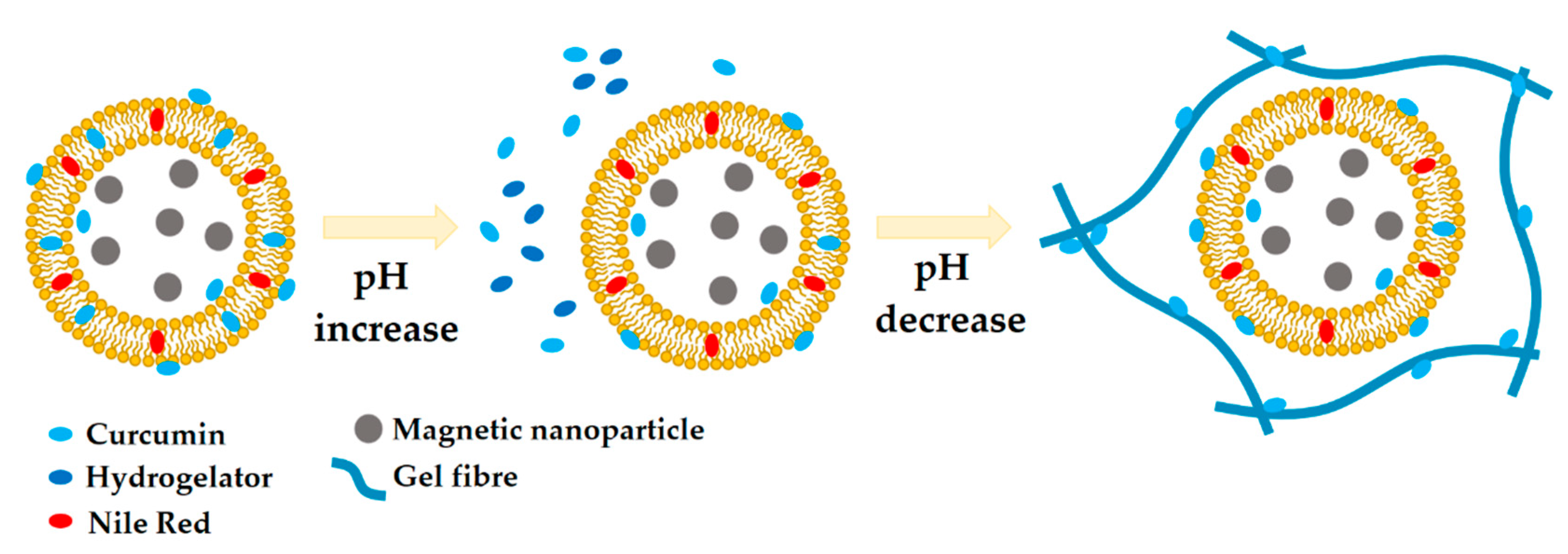Nanomaterials 10 01702 g004 Nanomaterials 10 01702 g004