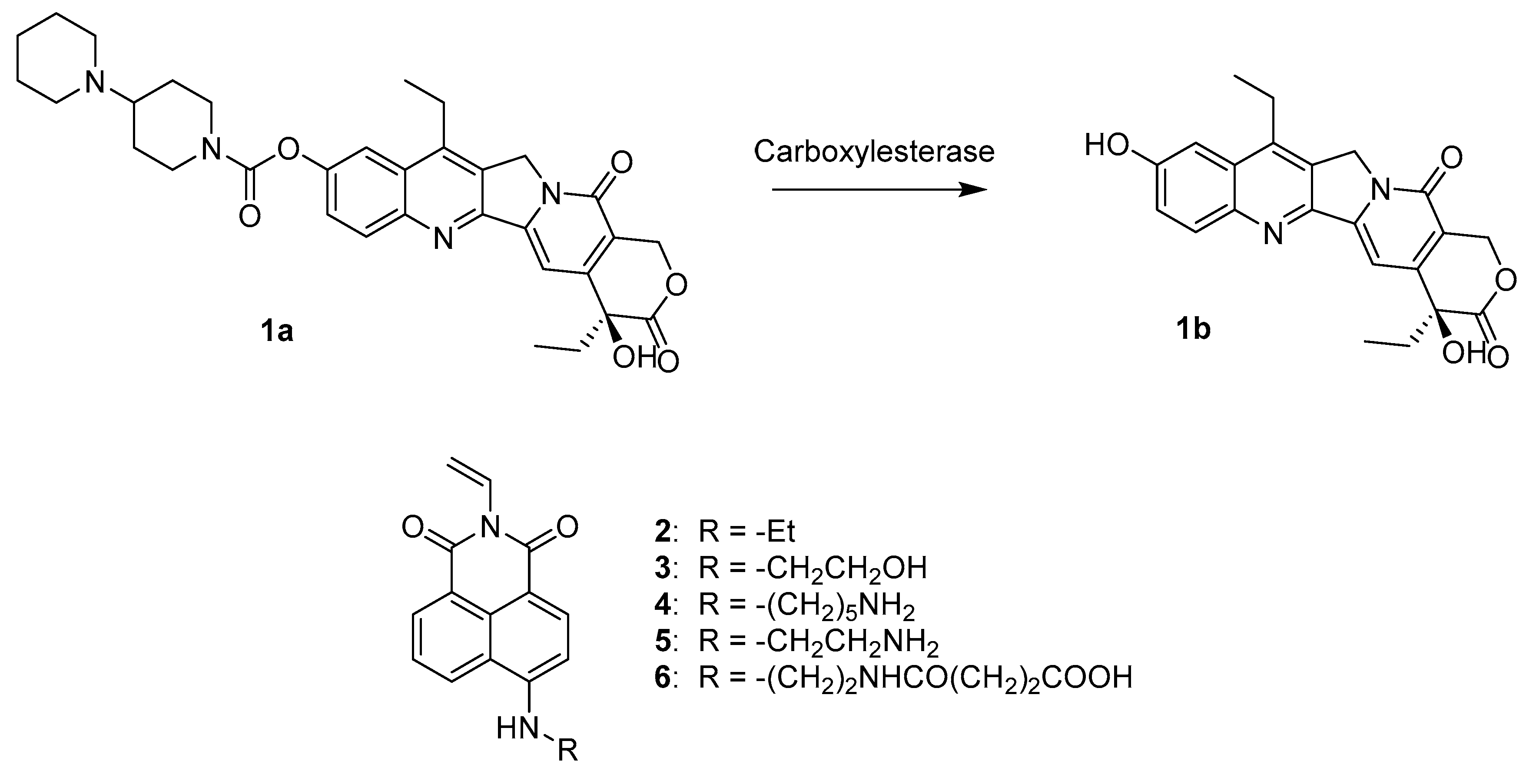 Nanomaterials 10 01707 g001 Nanomaterials 10 01707 g001