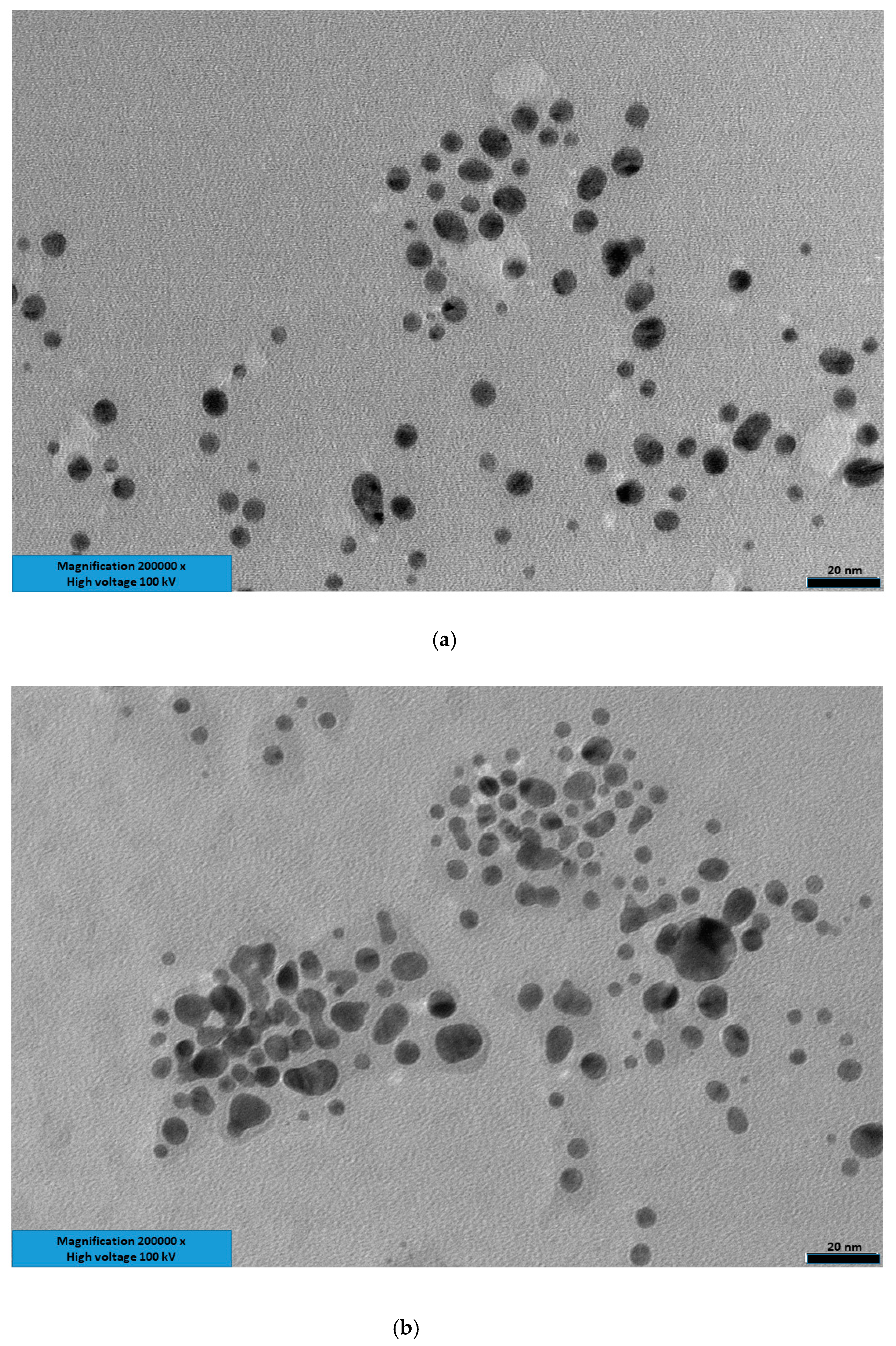 Nanomaterials 10 01707 g004 Nanomaterials 10 01707 g004