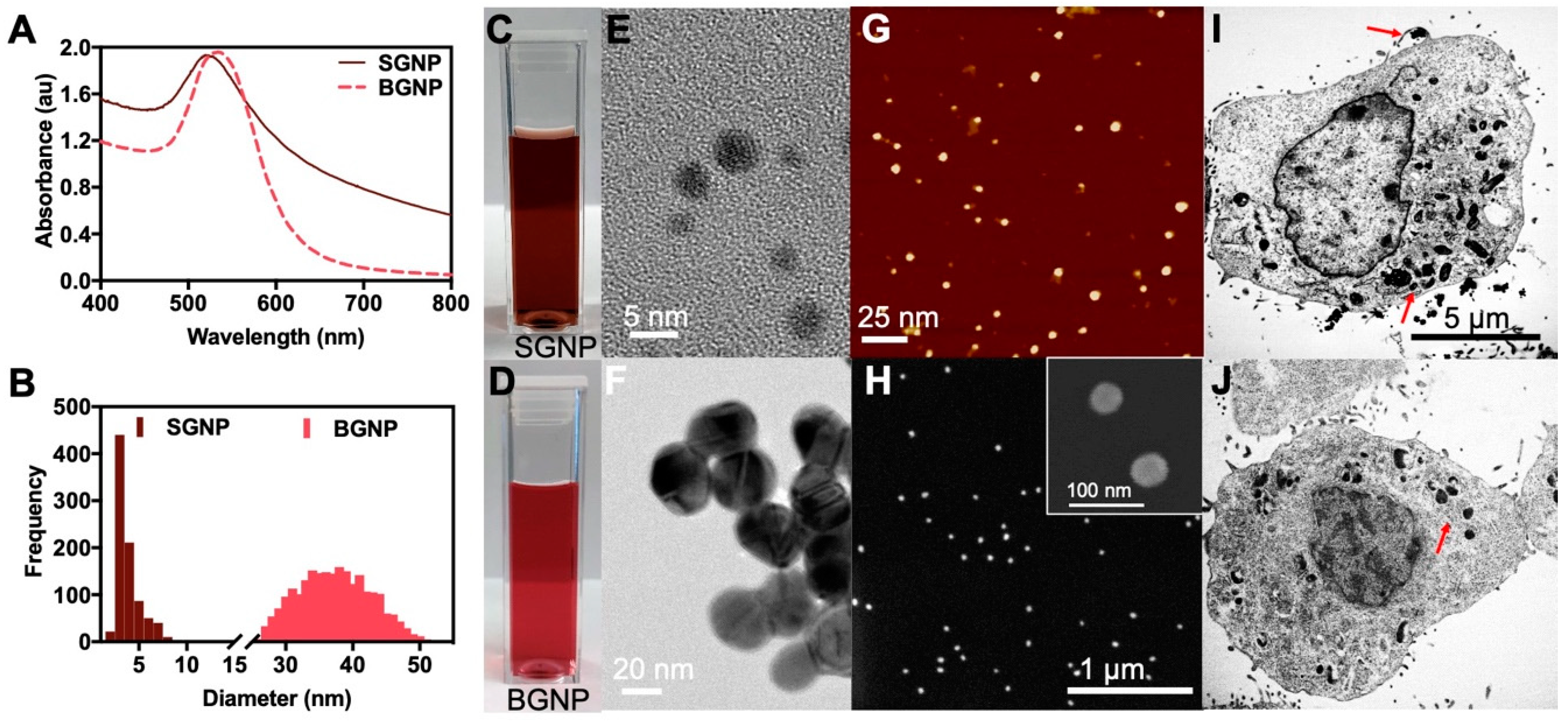 Nanomaterials 10 01717 g001
