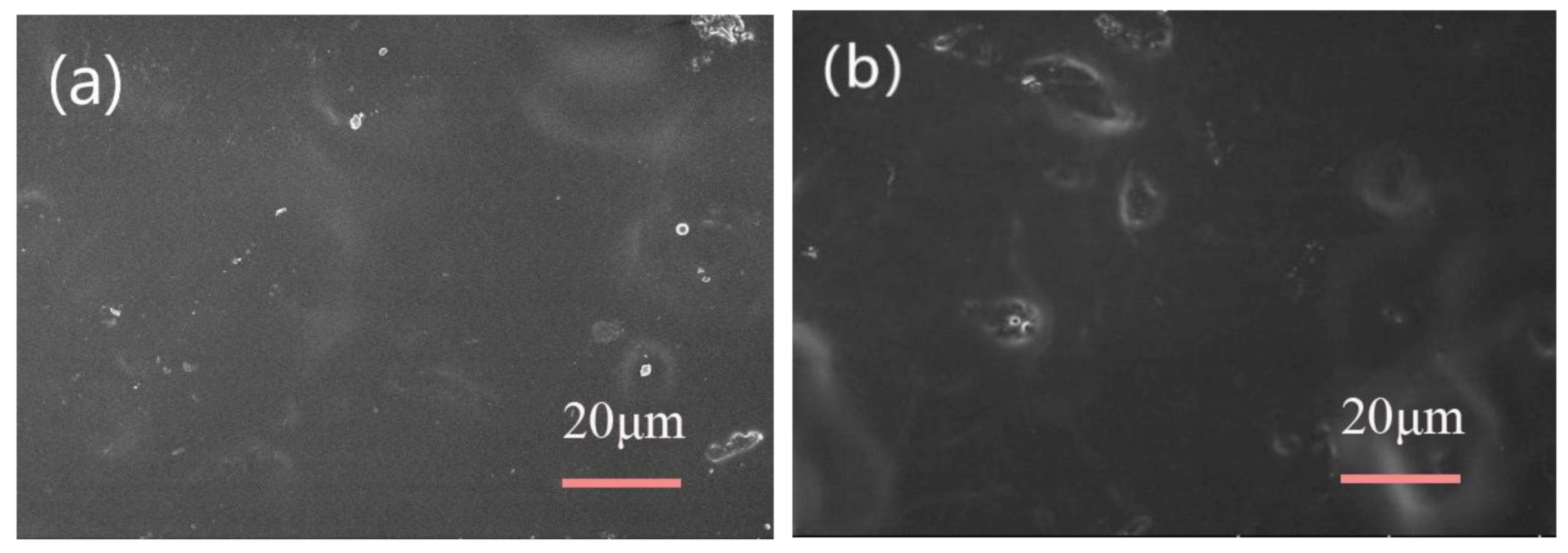 Nanomaterials 10 01723 g010a Nanomaterials 10 01723 g010a