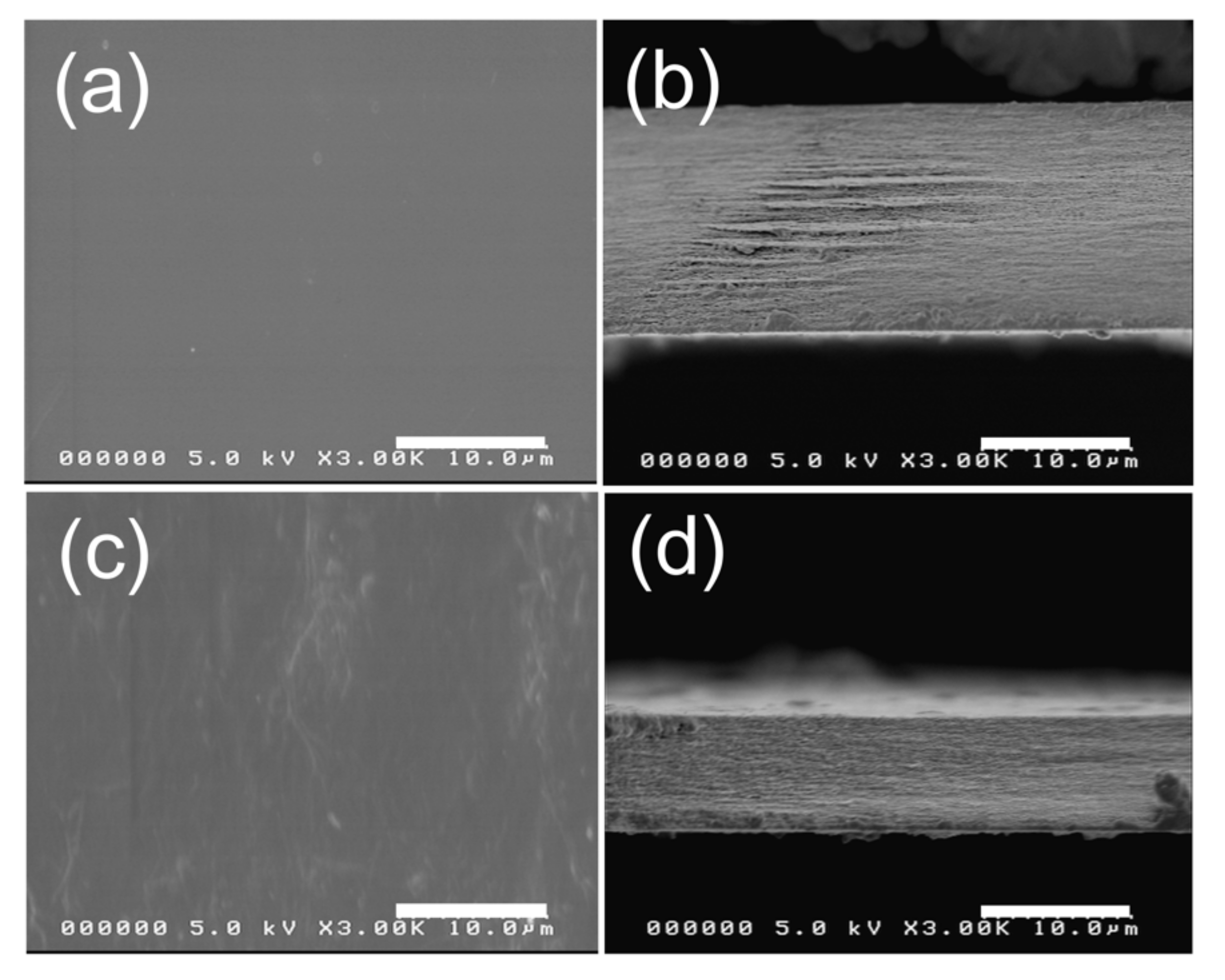 Nanomaterials 10 01752 g004 Nanomaterials 10 01752 g004