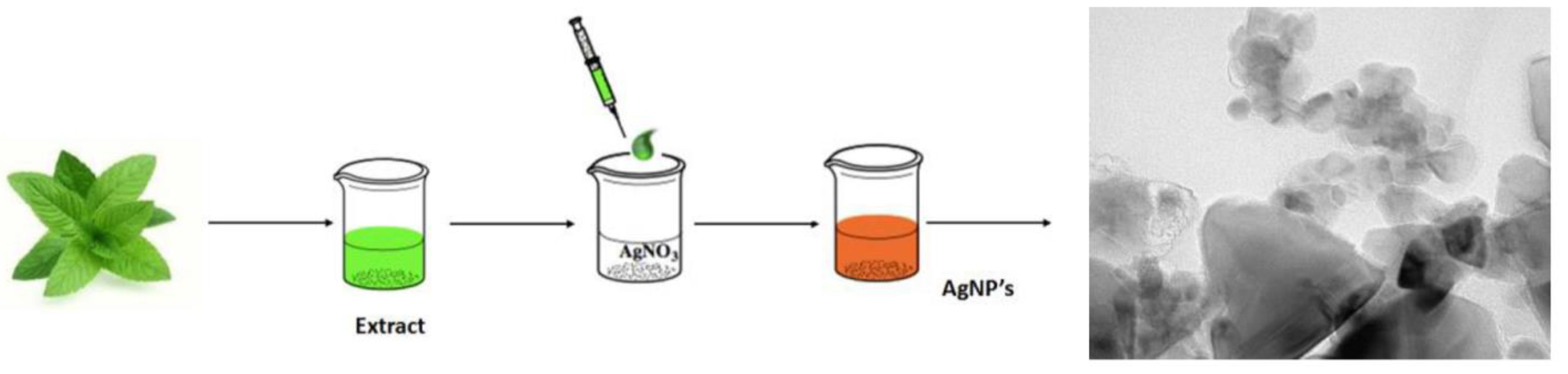 Nanomaterials Free Full Text Green Synthesis Of Gold And Silver