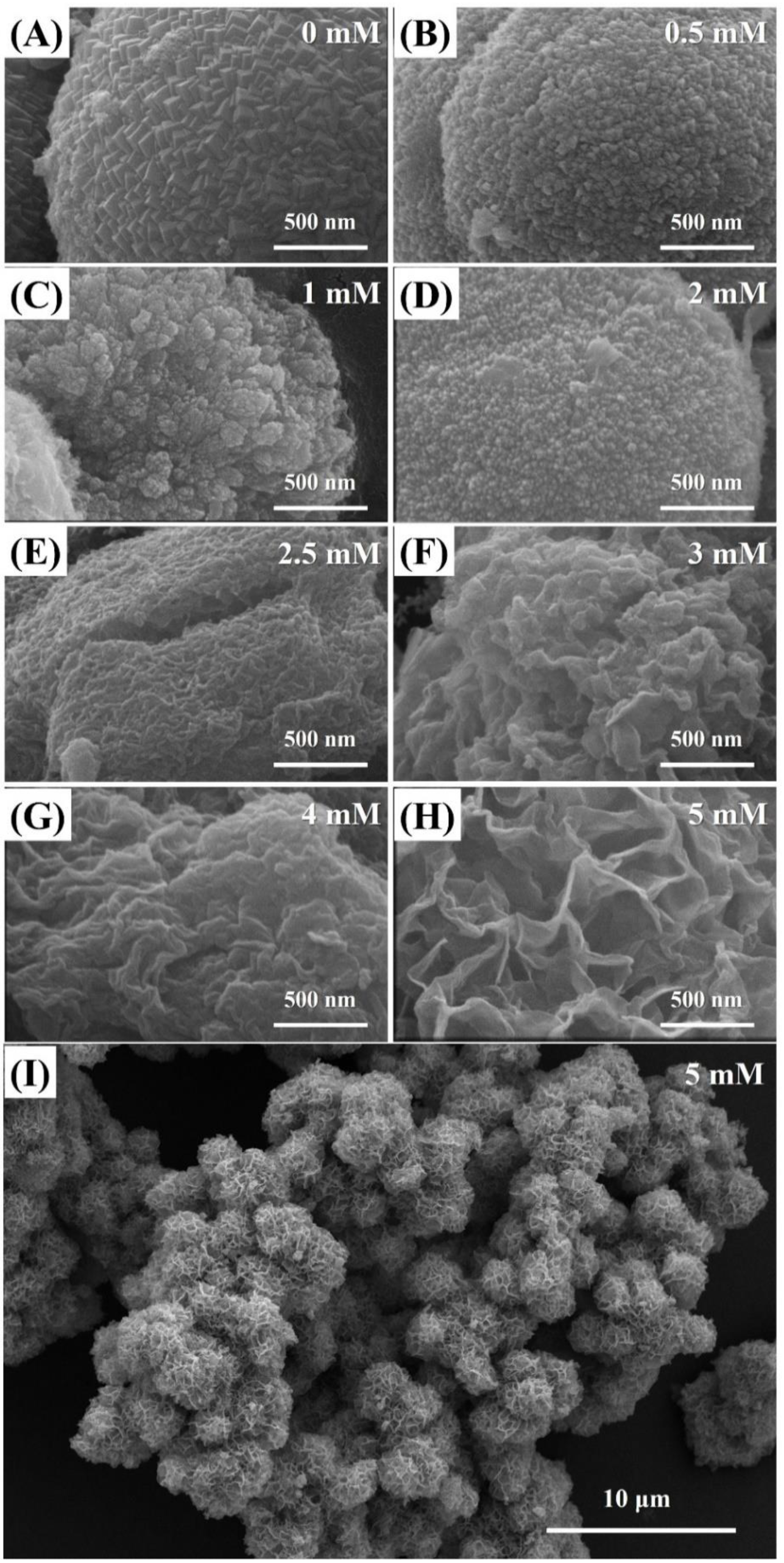 Nanomaterials 10 01773 g002 Nanomaterials 10 01773 g002