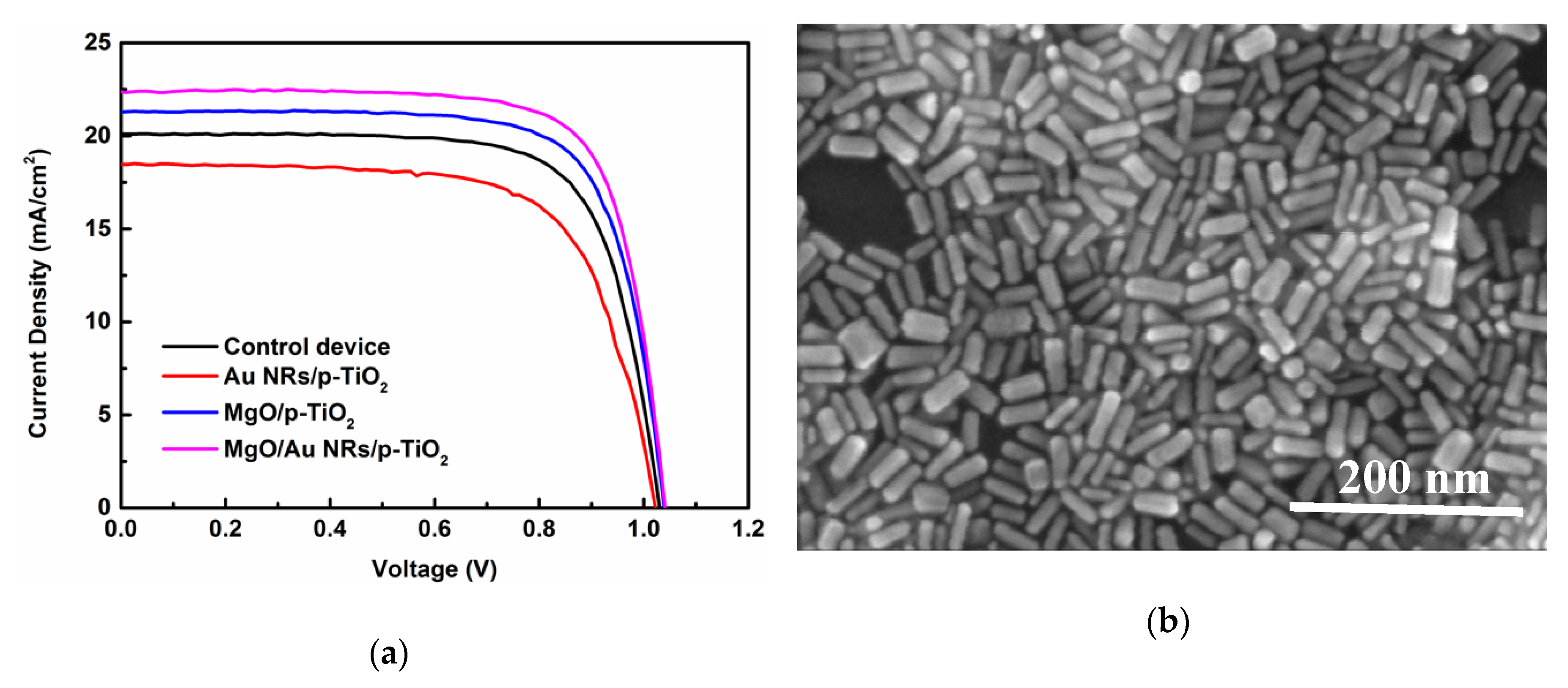 Nanomaterials | Free Full-Text | Synergetic Effect of Plasmonic 