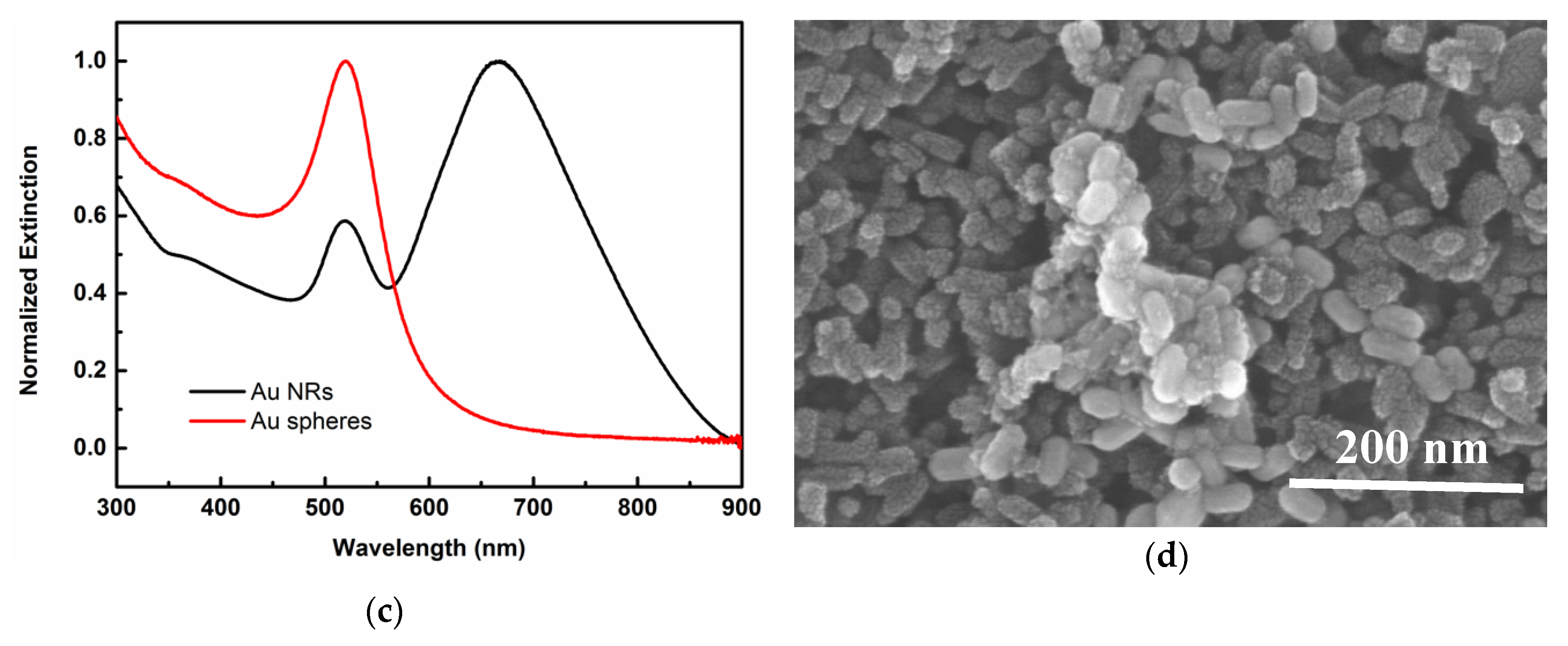 Nanomaterials 10 01830 g001b