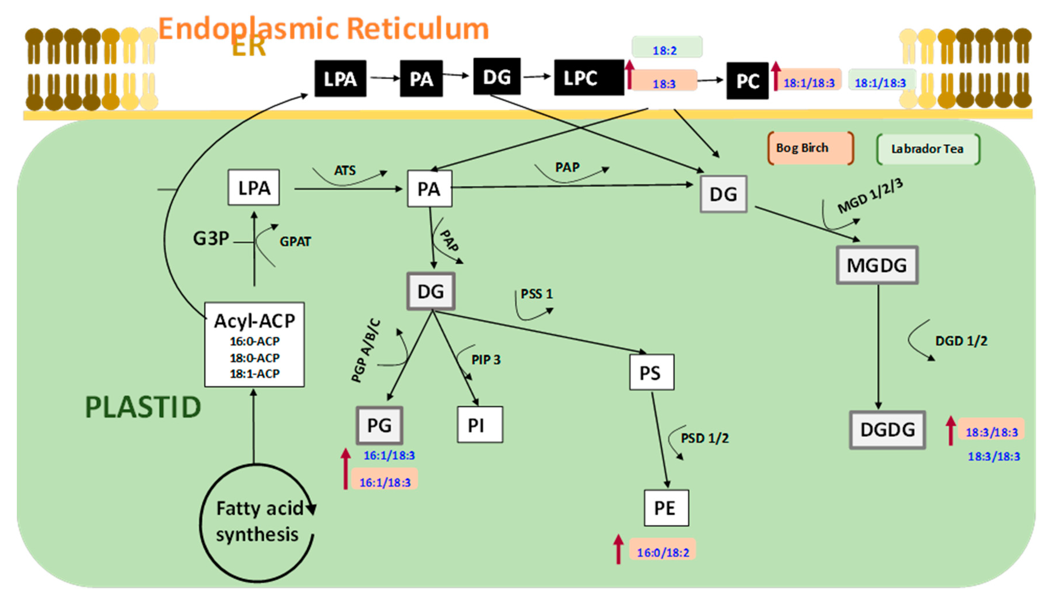Nanomaterials 10 01852 g009 Nanomaterials 10 01852 g009