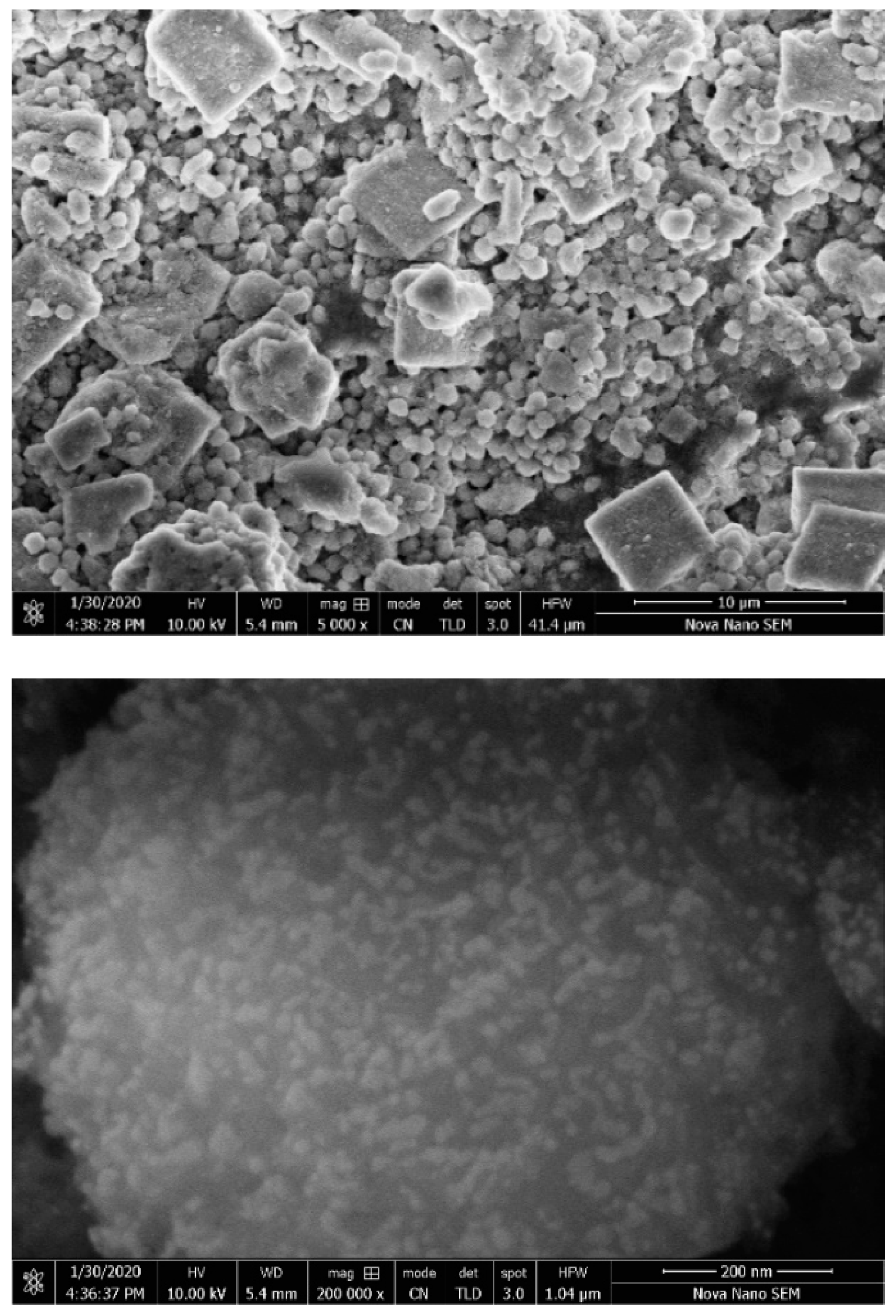 Nanomaterials 10 01856 g009