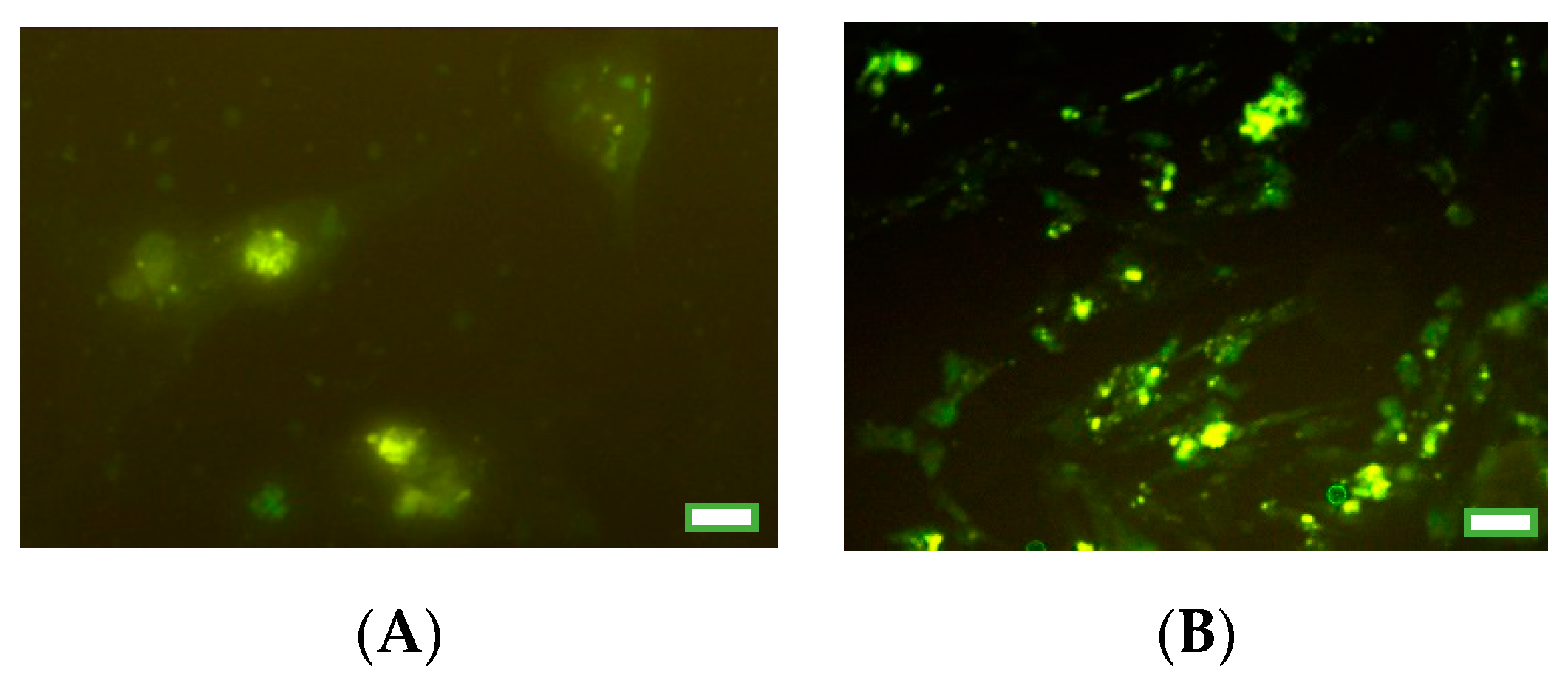 Nanomaterials 10 01859 g001 Nanomaterials 10 01859 g001
