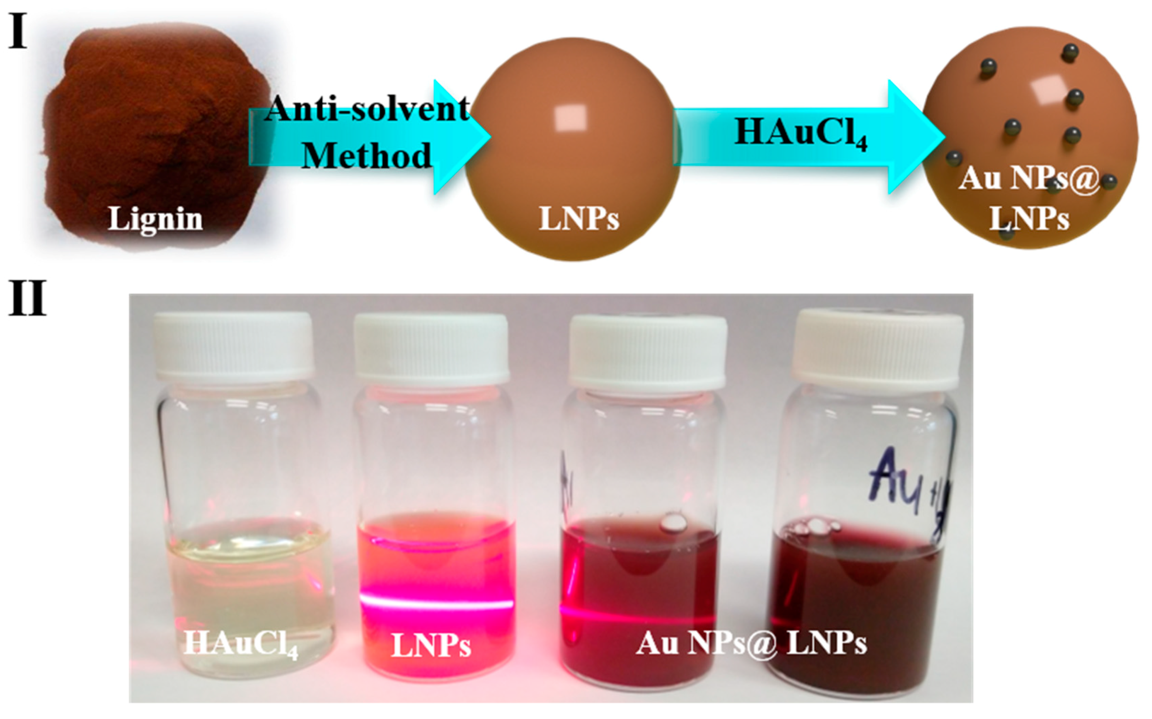Nanomaterials 10 01869 g001