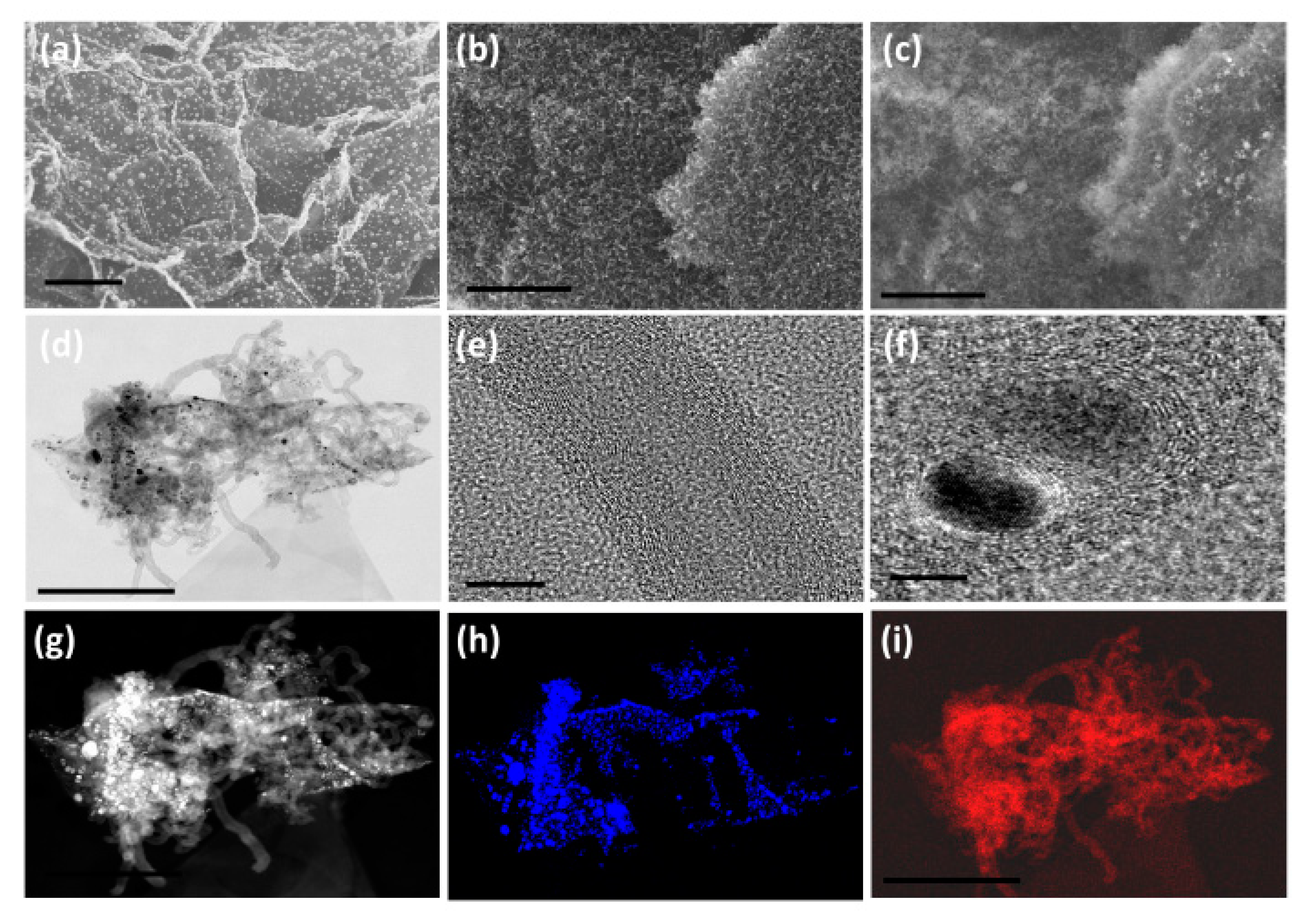 Nanomaterials 10 01895 g001